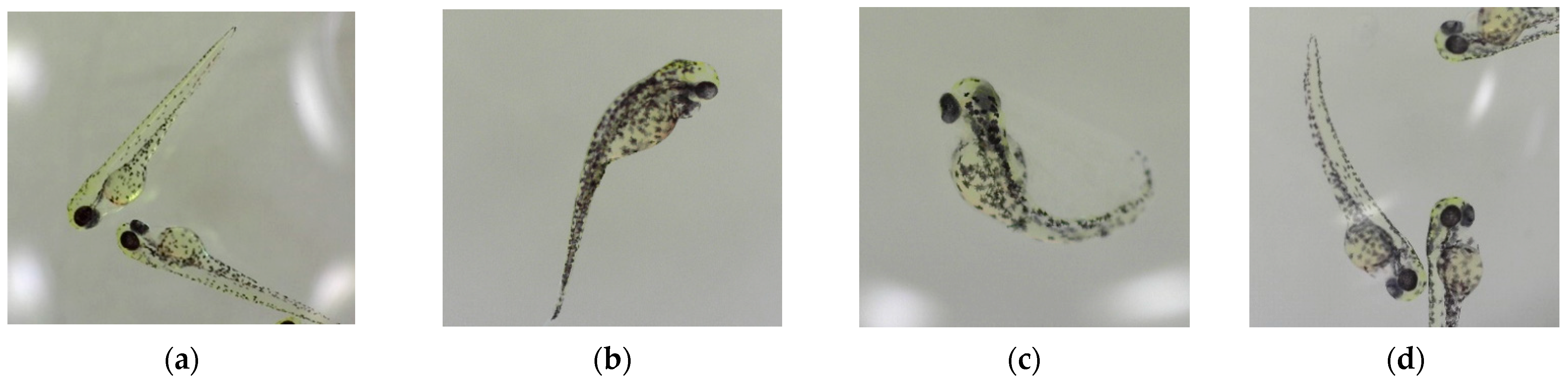 Micromachines 15 00049 g008