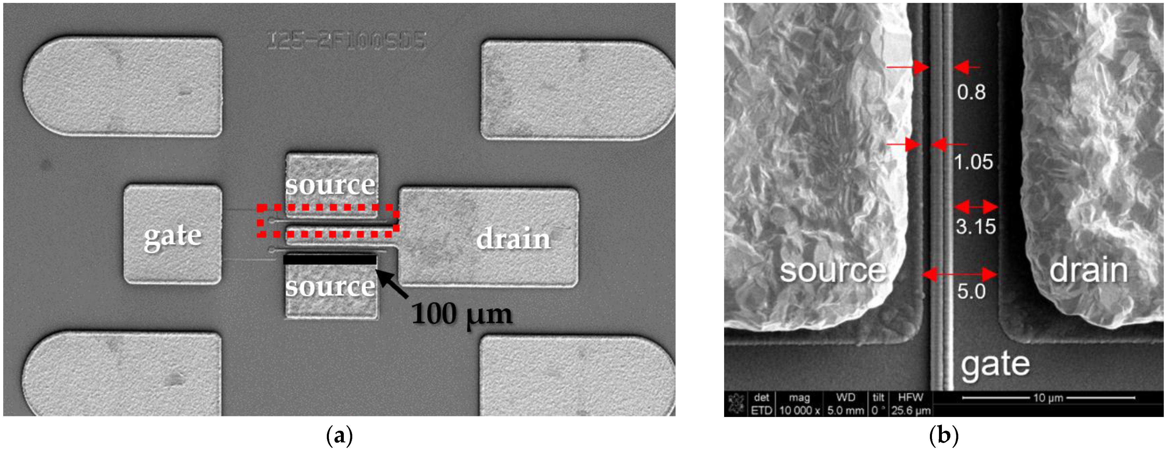 Micromachines 15 00057 g001