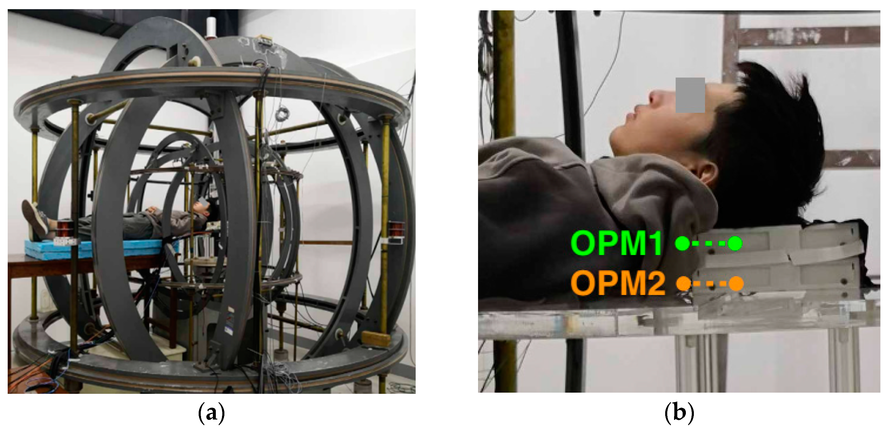 Micromachines 15 00059 g010