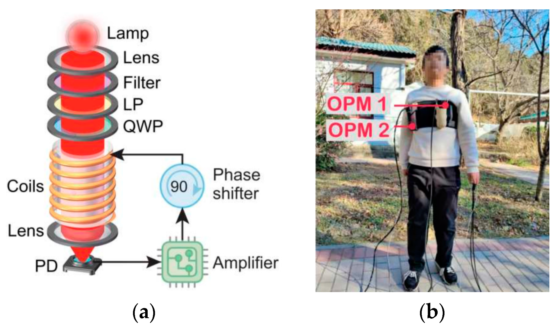 Micromachines 15 00059 g012