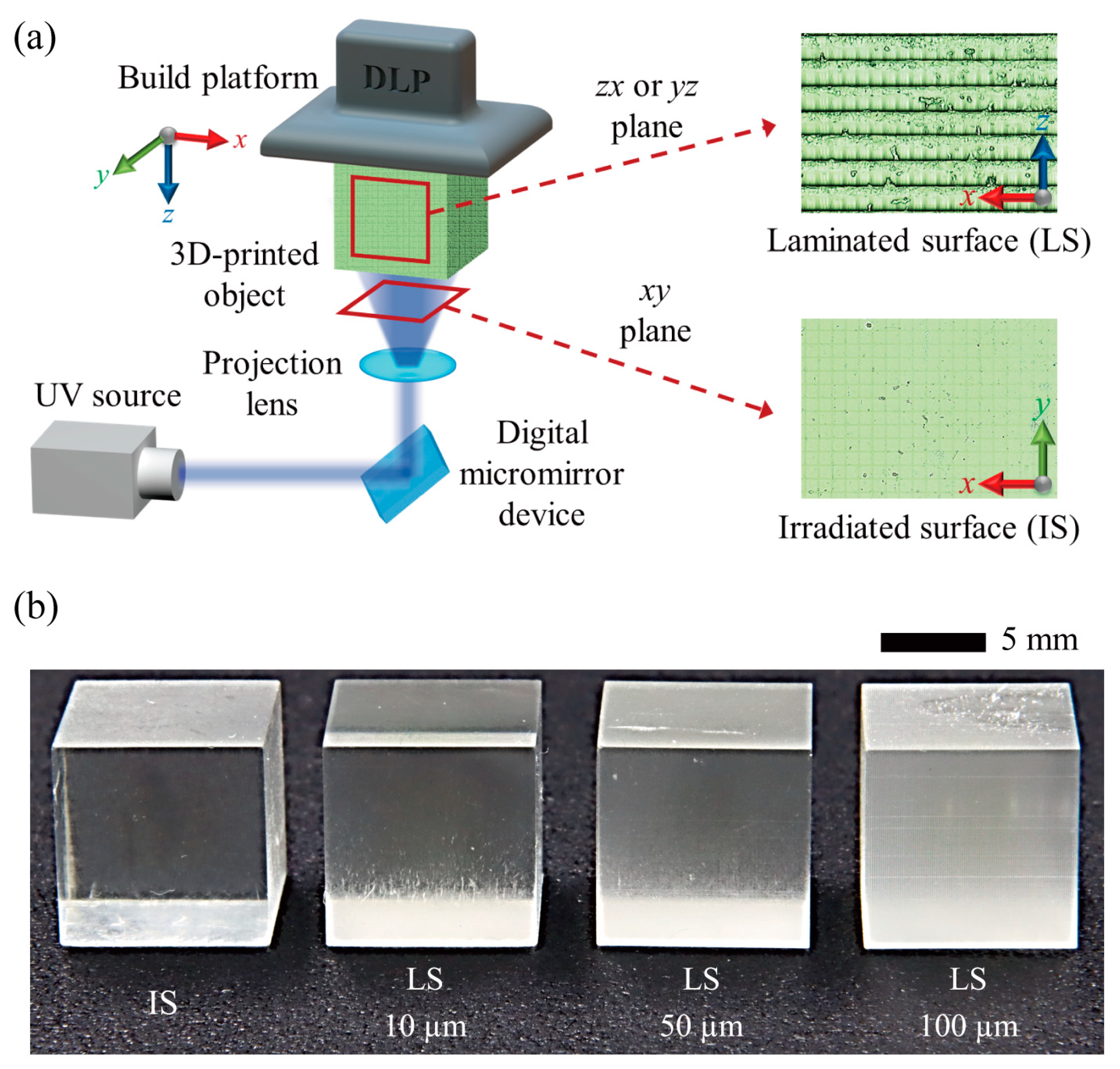 Micromachines 15 00061 g001