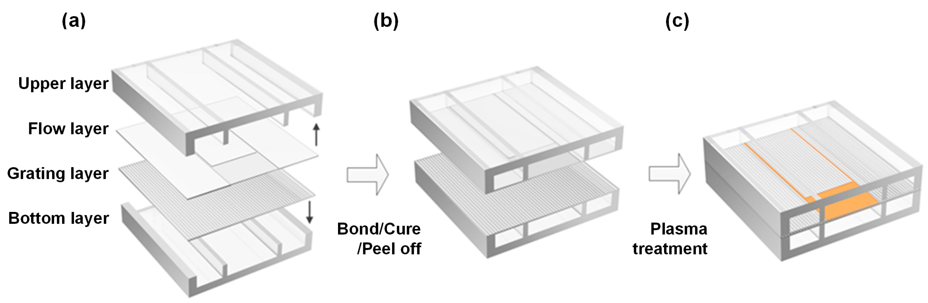 Micromachines 15 00068 g002