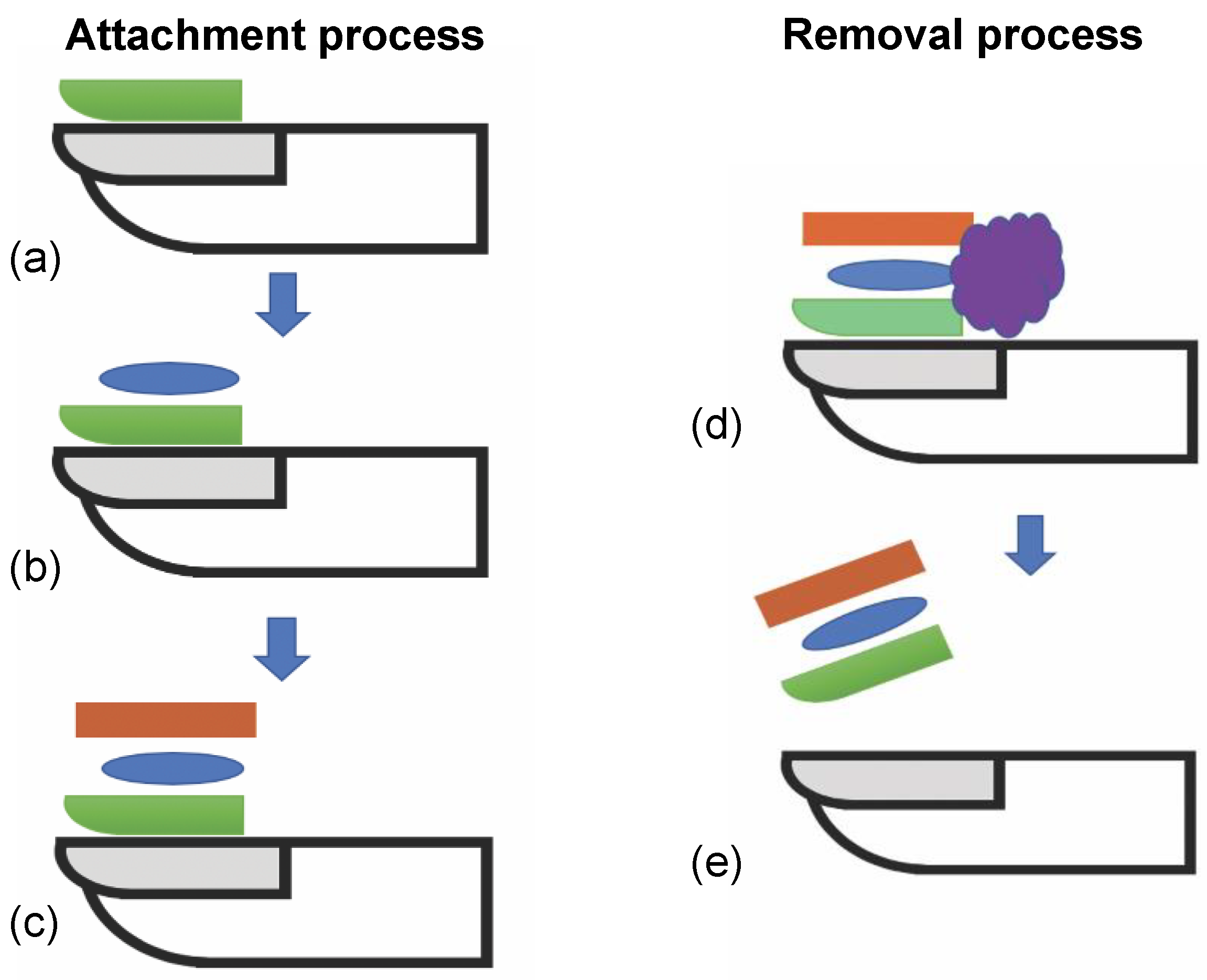 Micromachines 15 00069 g002