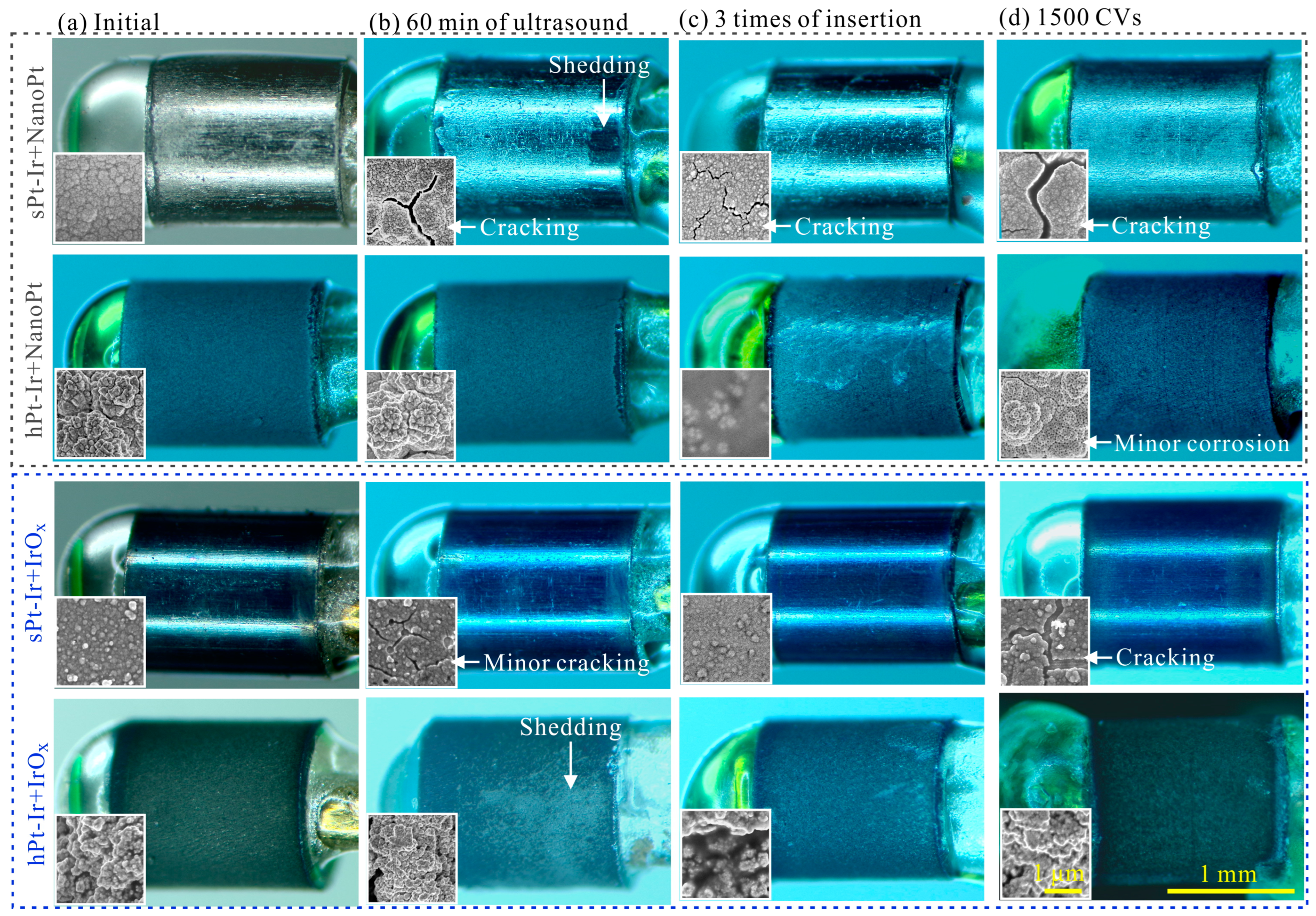 Micromachines 15 00070 g003
