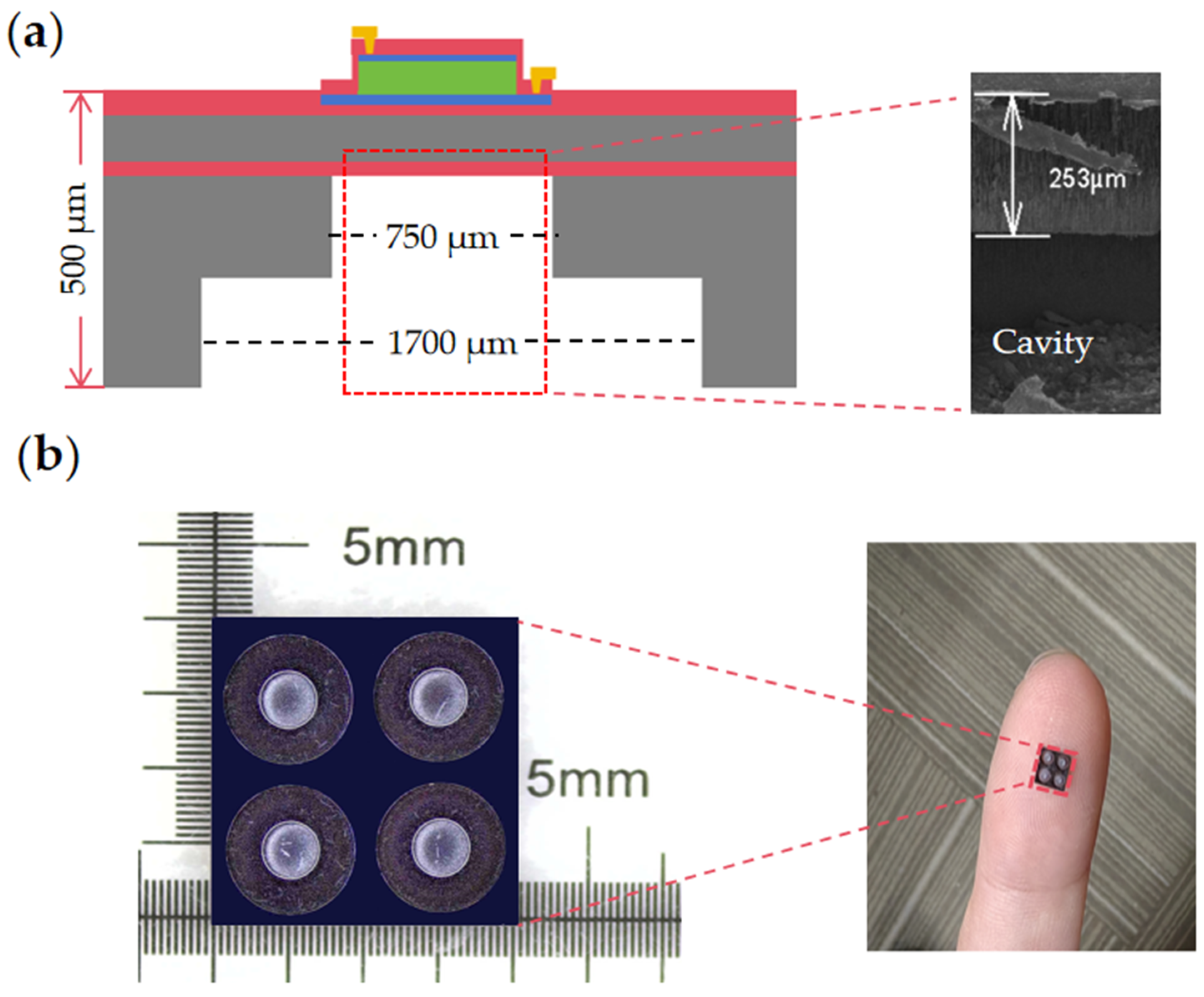 Micromachines 15 00072 g001