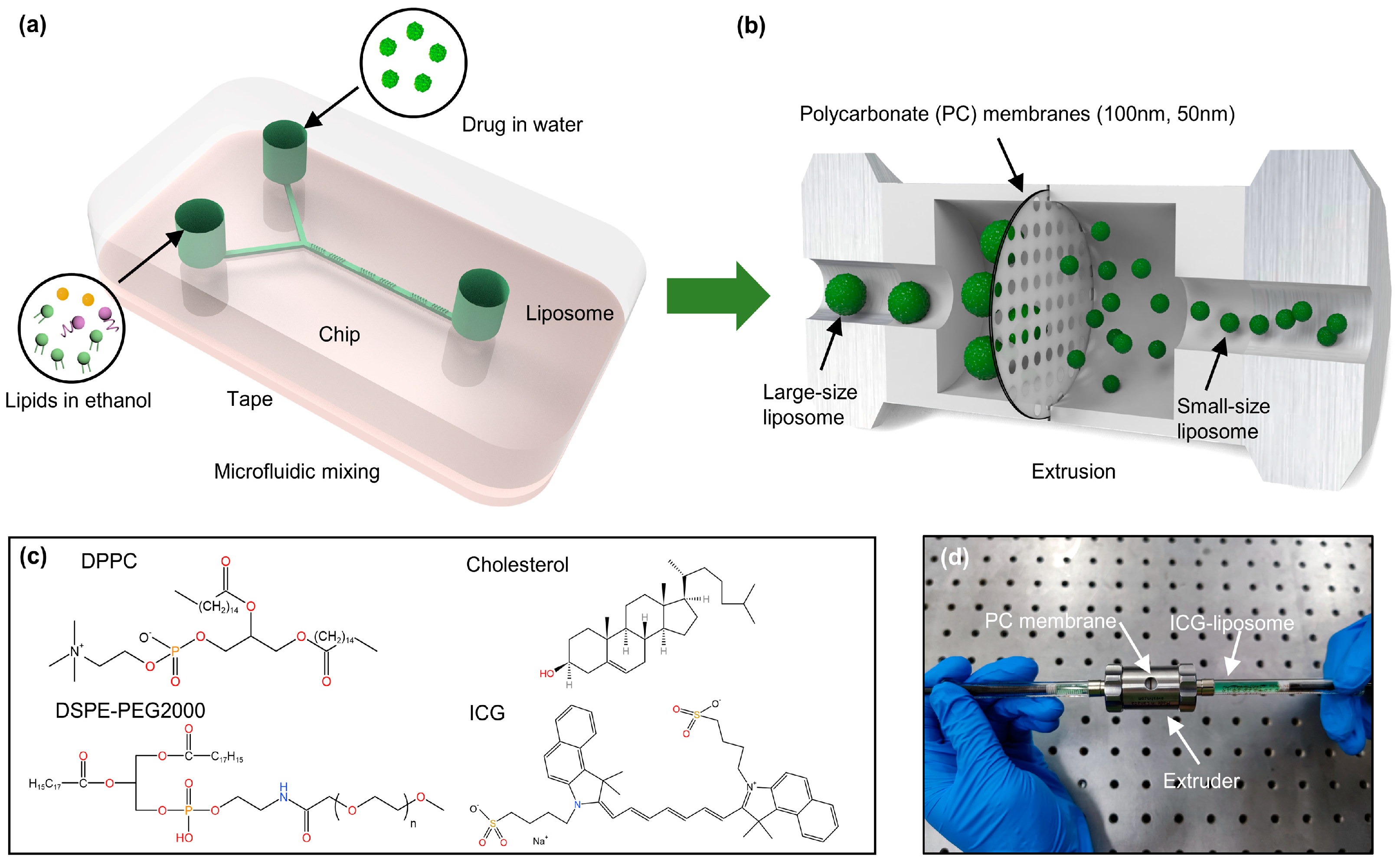 Micromachines 15 00090 g002