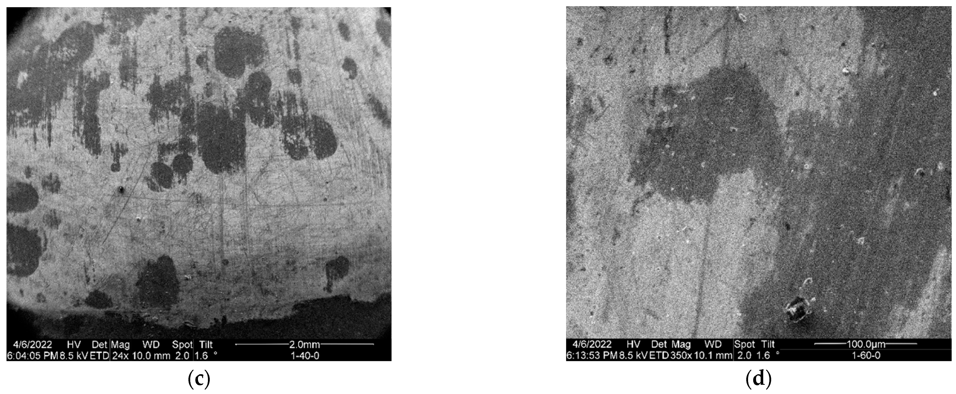 Micromachines 15 00093 g006b