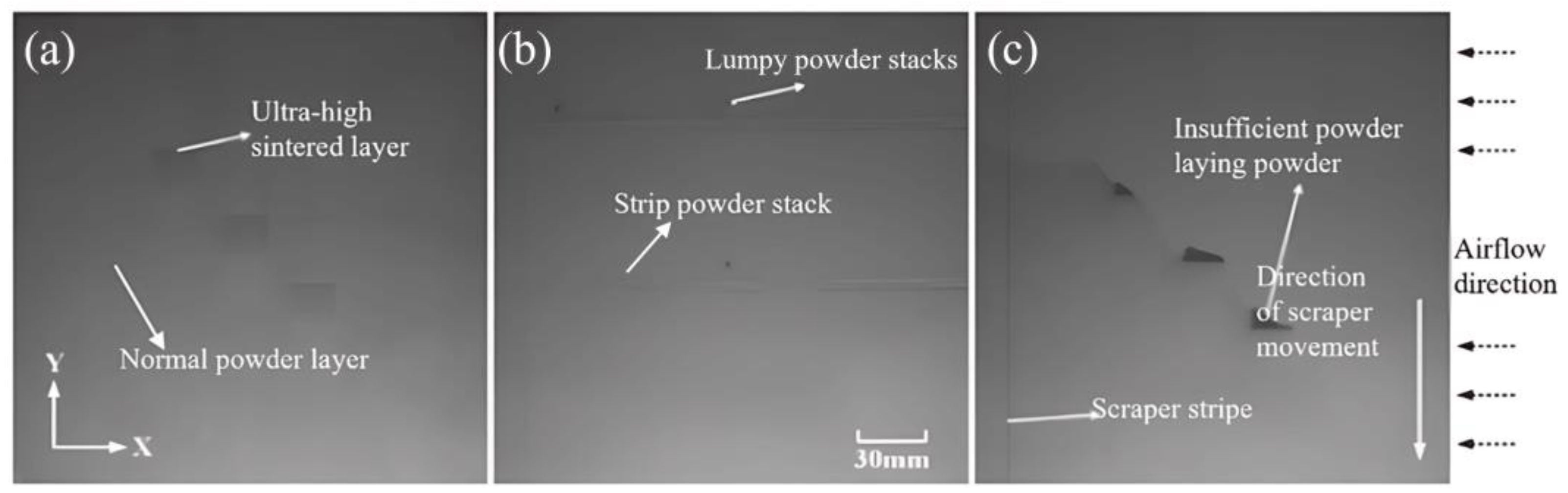 Micromachines 15 00097 g002