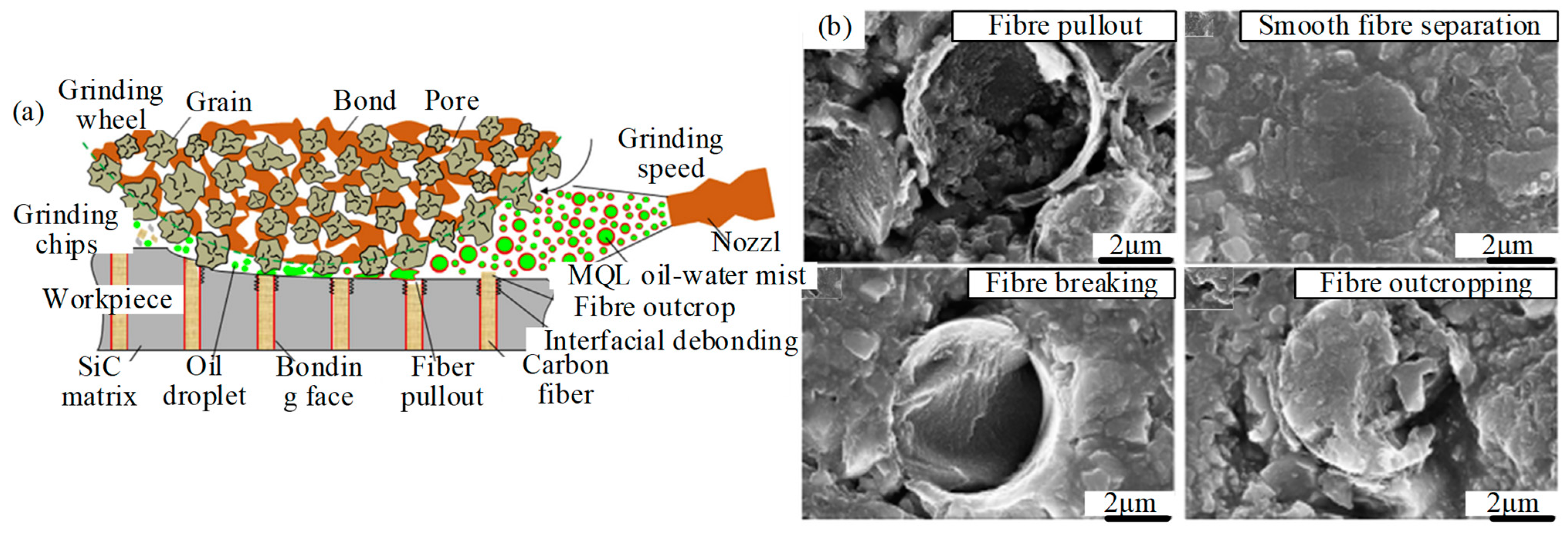 Micromachines 15 00106 g003