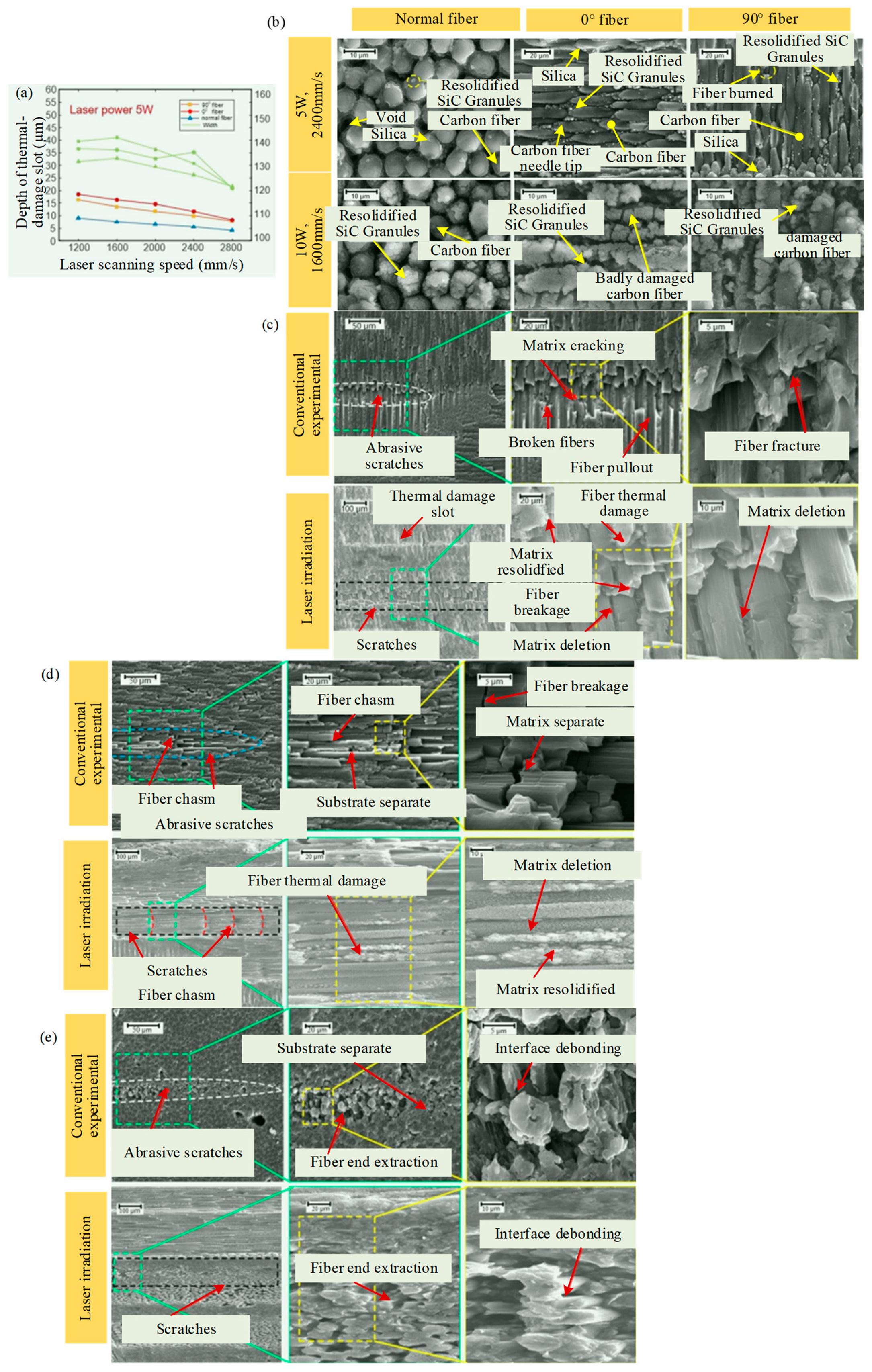Micromachines 15 00106 g006