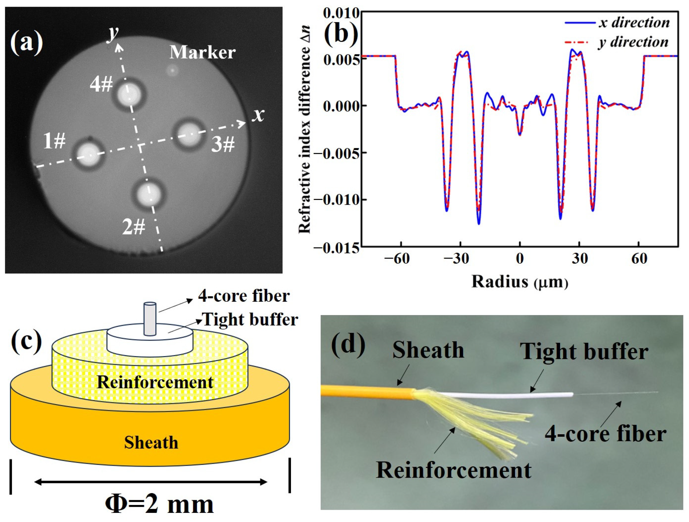 Micromachines 15 00108 g003