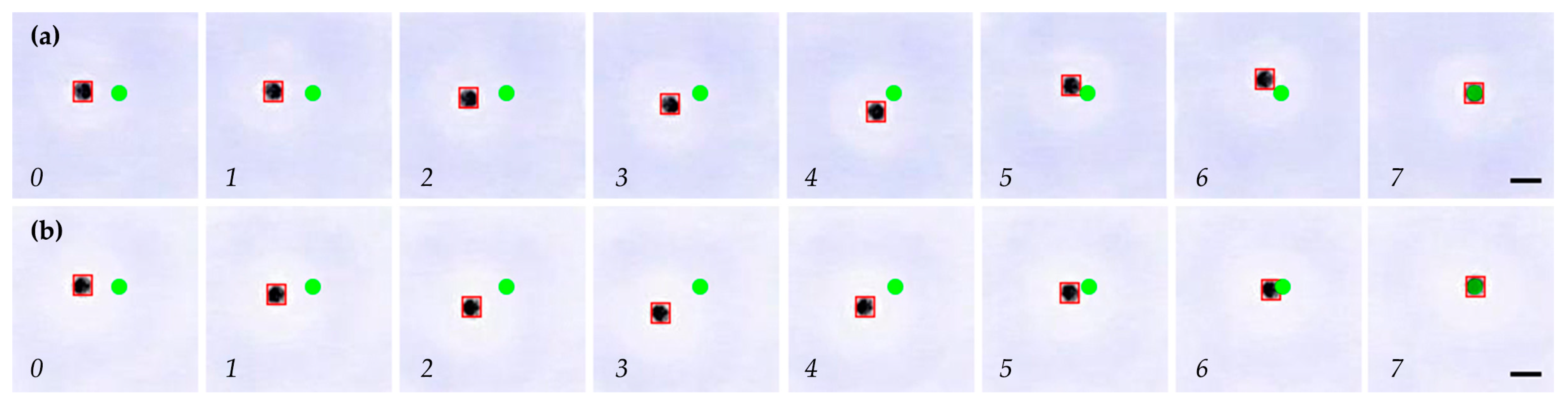Micromachines 15 00112 g011