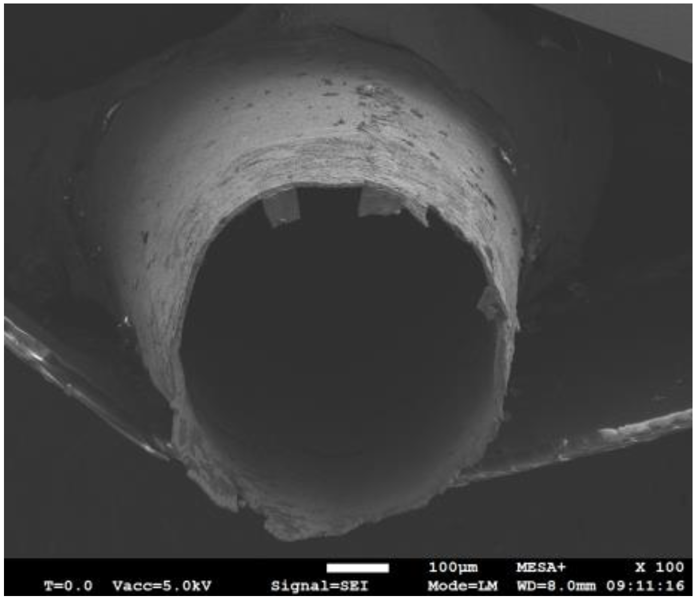 Micromachines 15 00114 g006