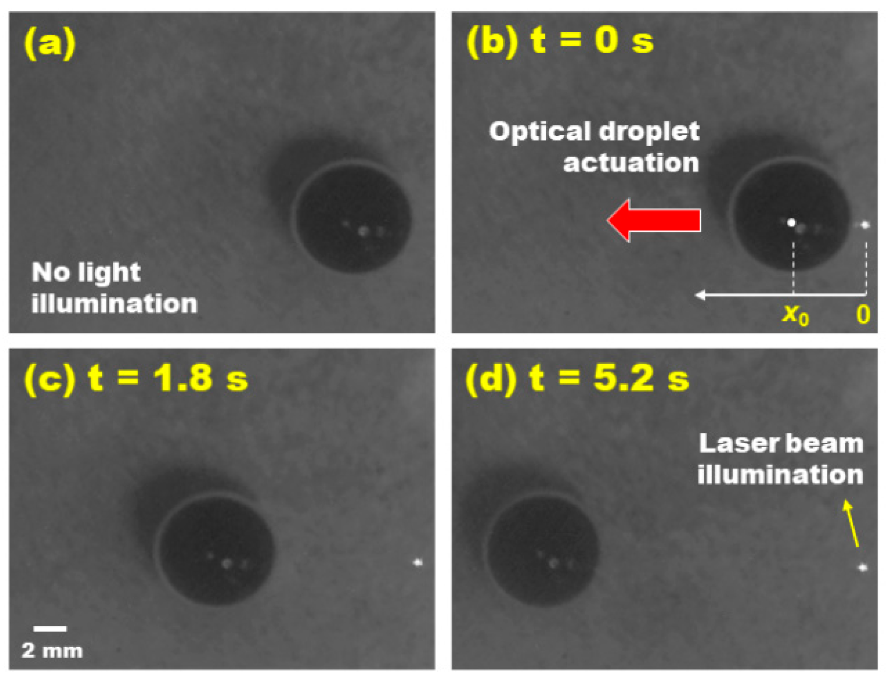 Micromachines 15 00119 g007