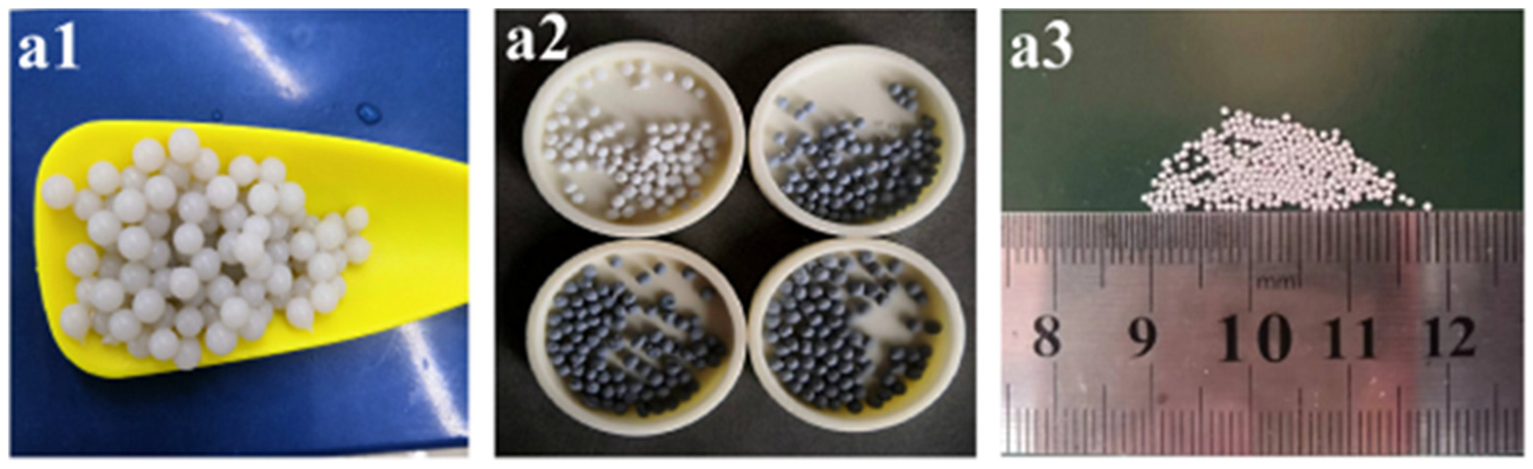 Micromachines 15 00122 g003