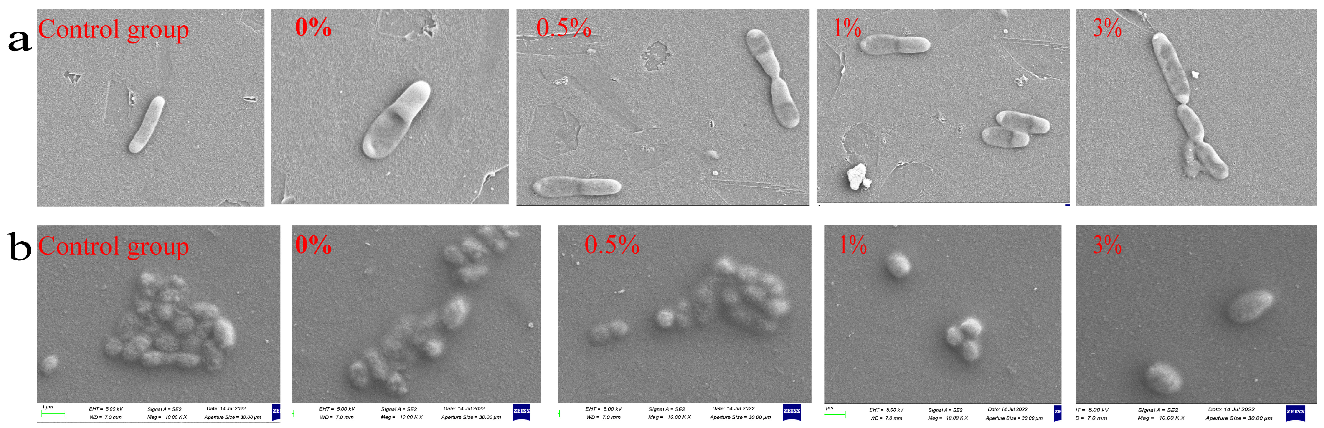 Micromachines 15 00122 g020