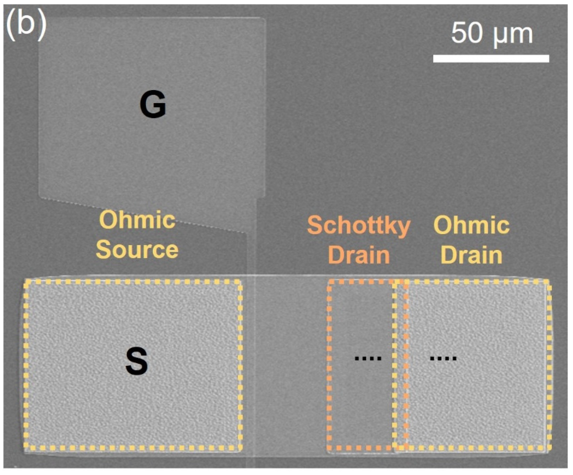 Micromachines 15 00133 g001b