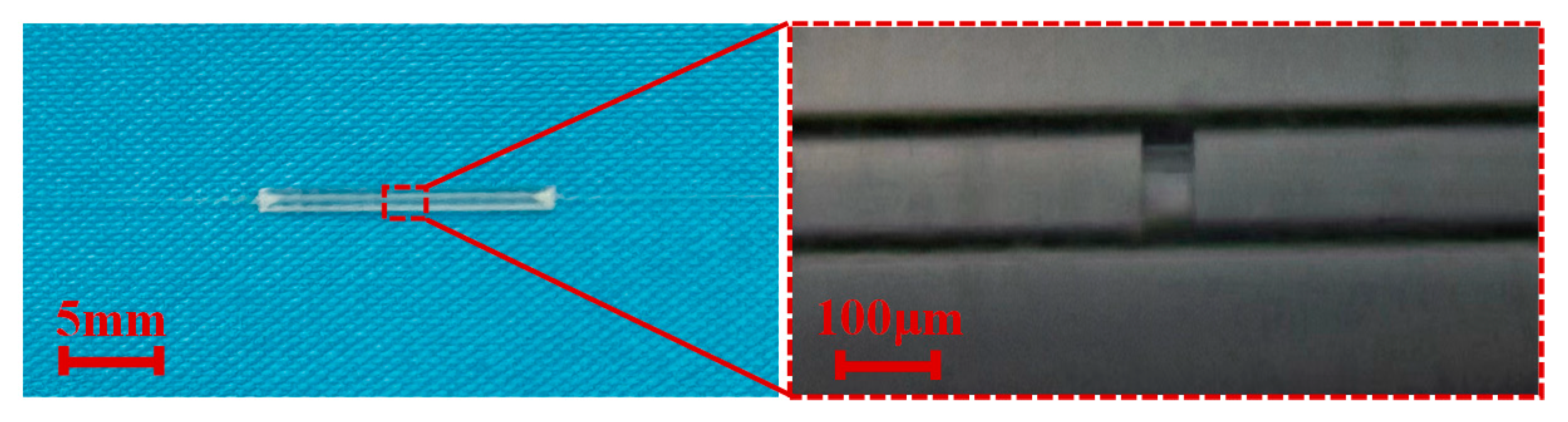 Micromachines 15 00140 g003