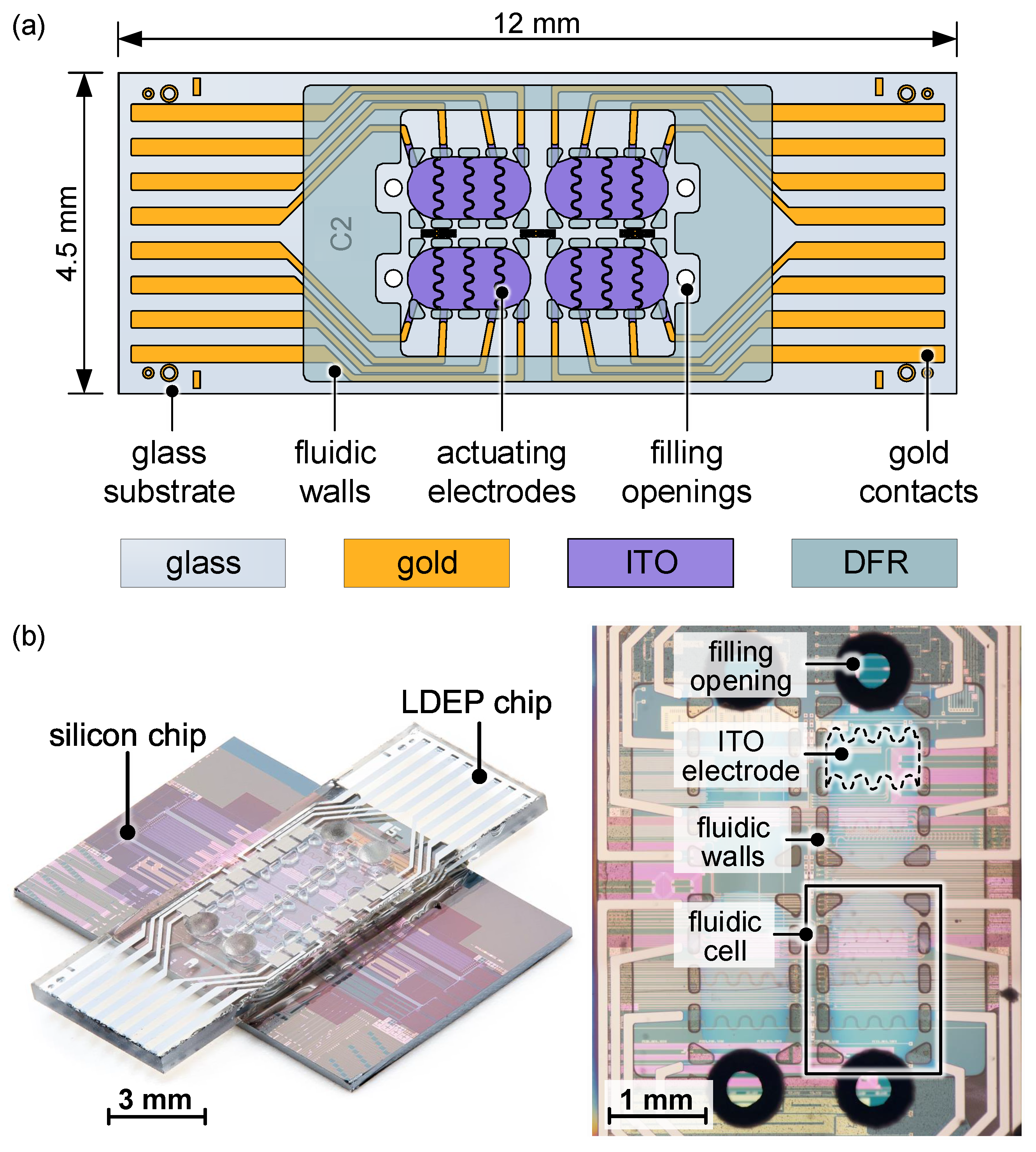Micromachines 15 00151 g001