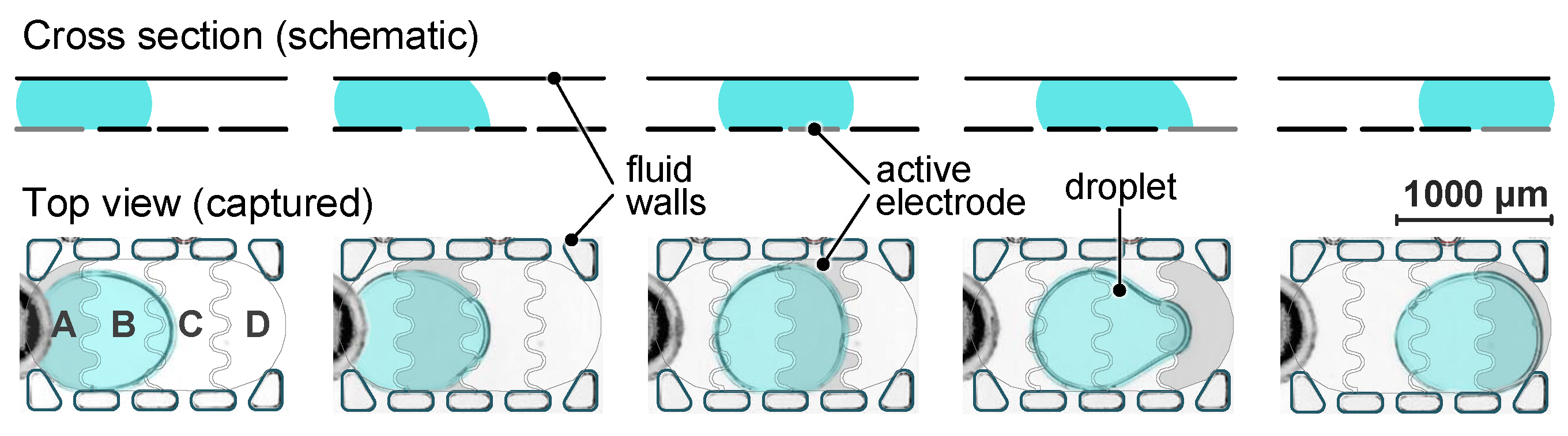 Micromachines 15 00151 g003