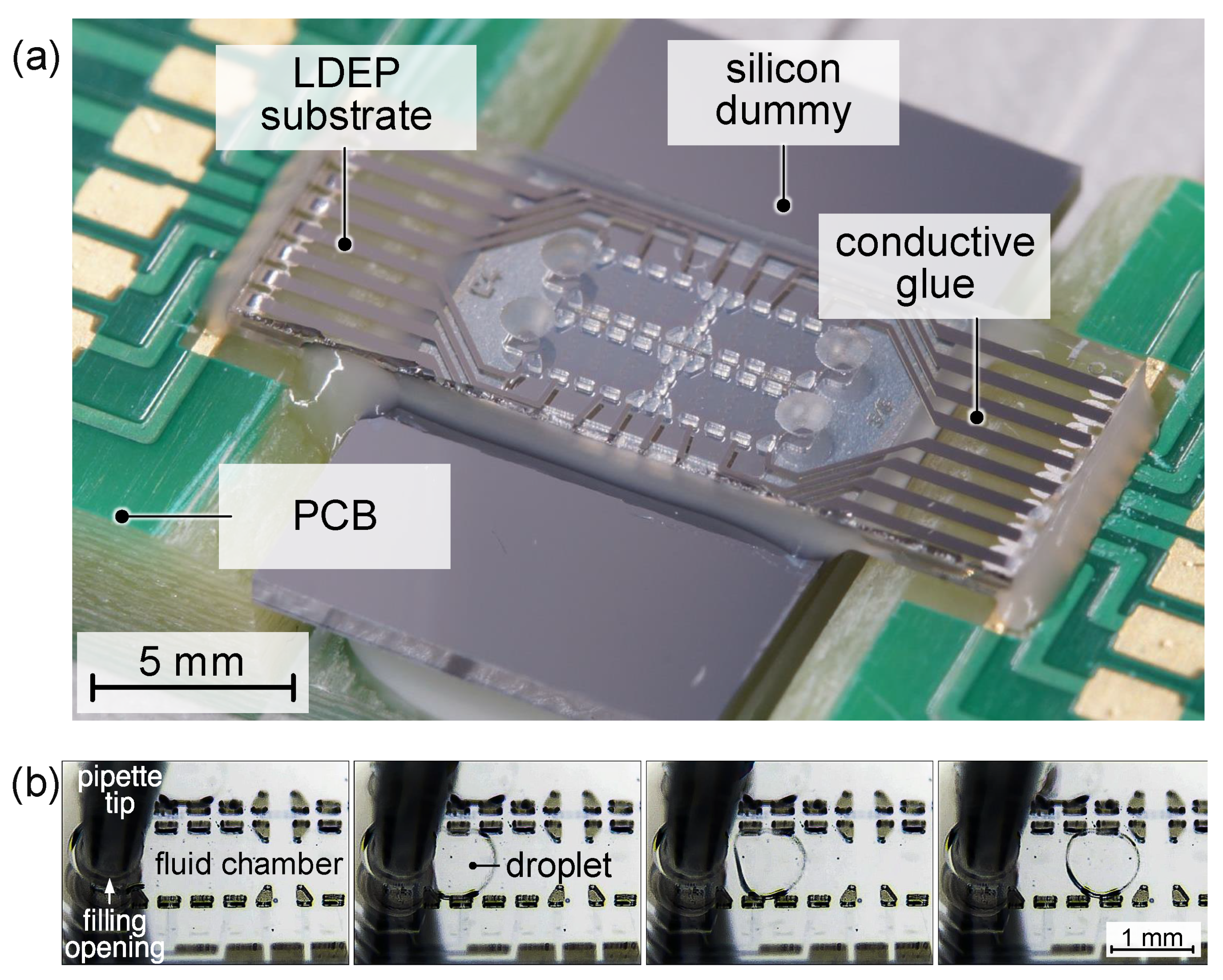 Micromachines 15 00151 g008