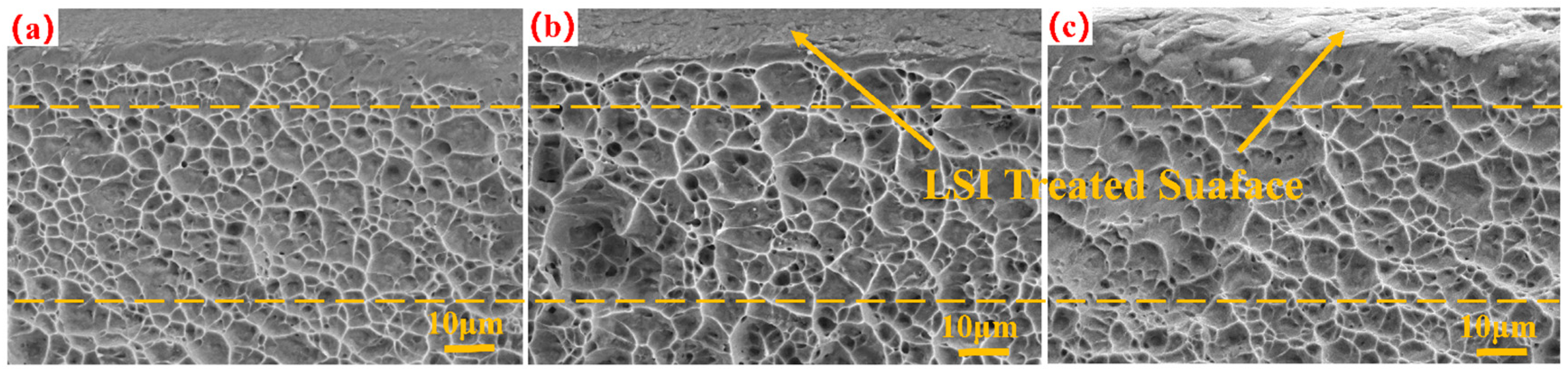 Micromachines 15 00152 g005