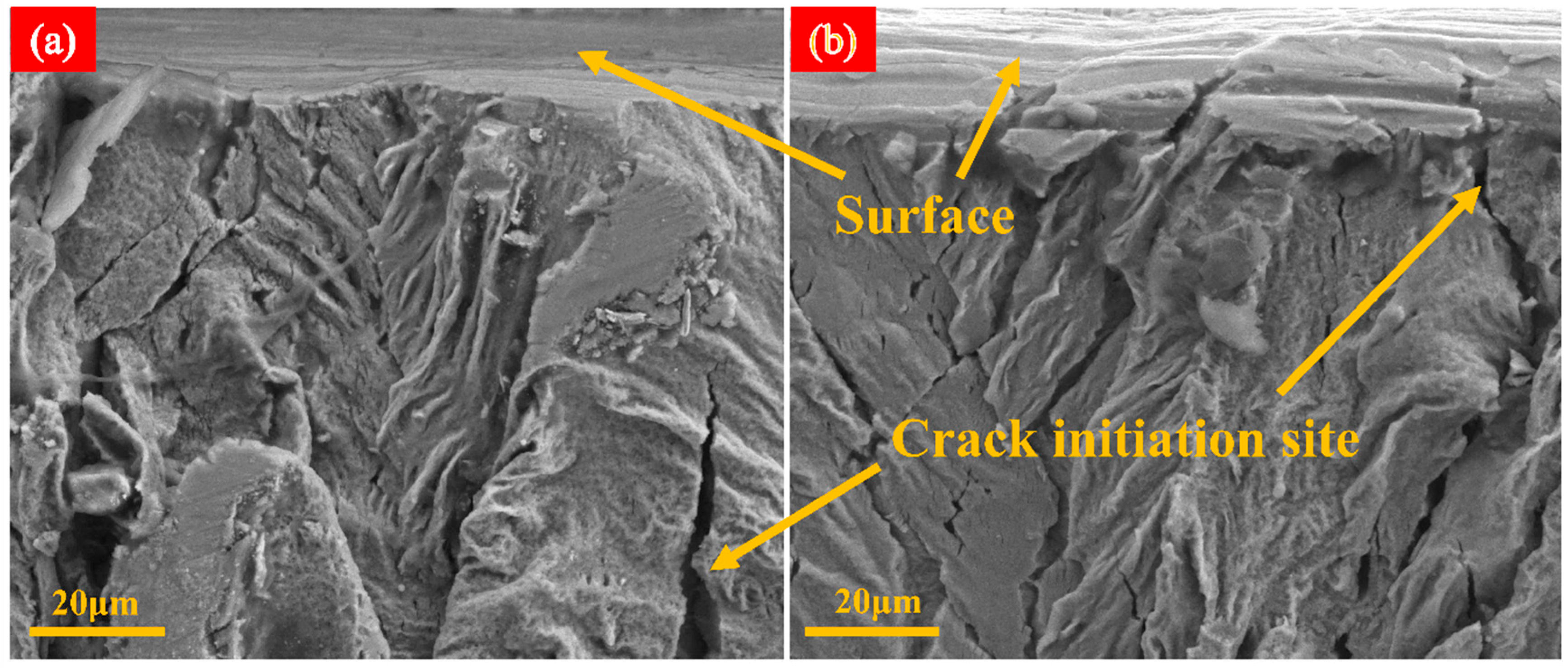 Micromachines 15 00152 g009
