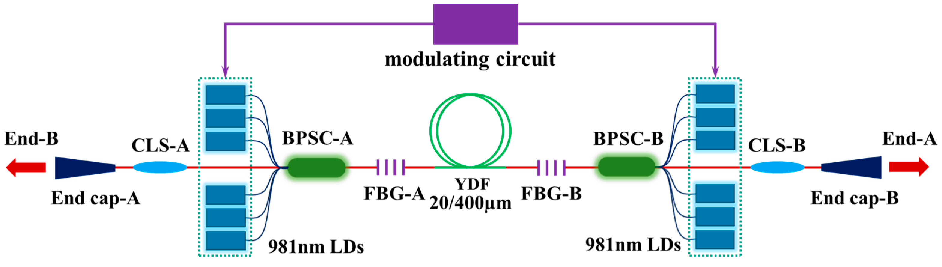 Micromachines 15 00153 g006