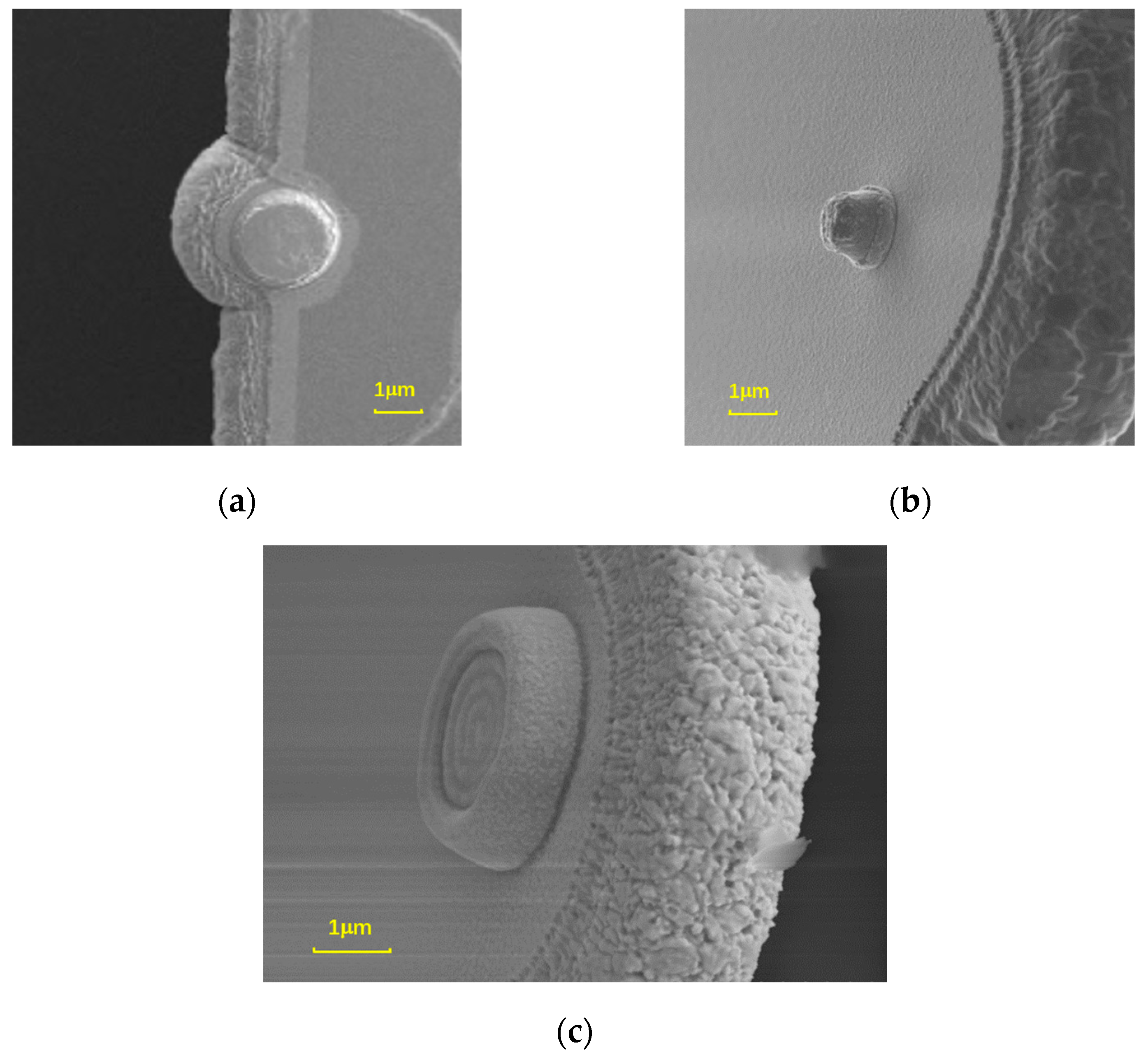 Micromachines 15 00155 g003