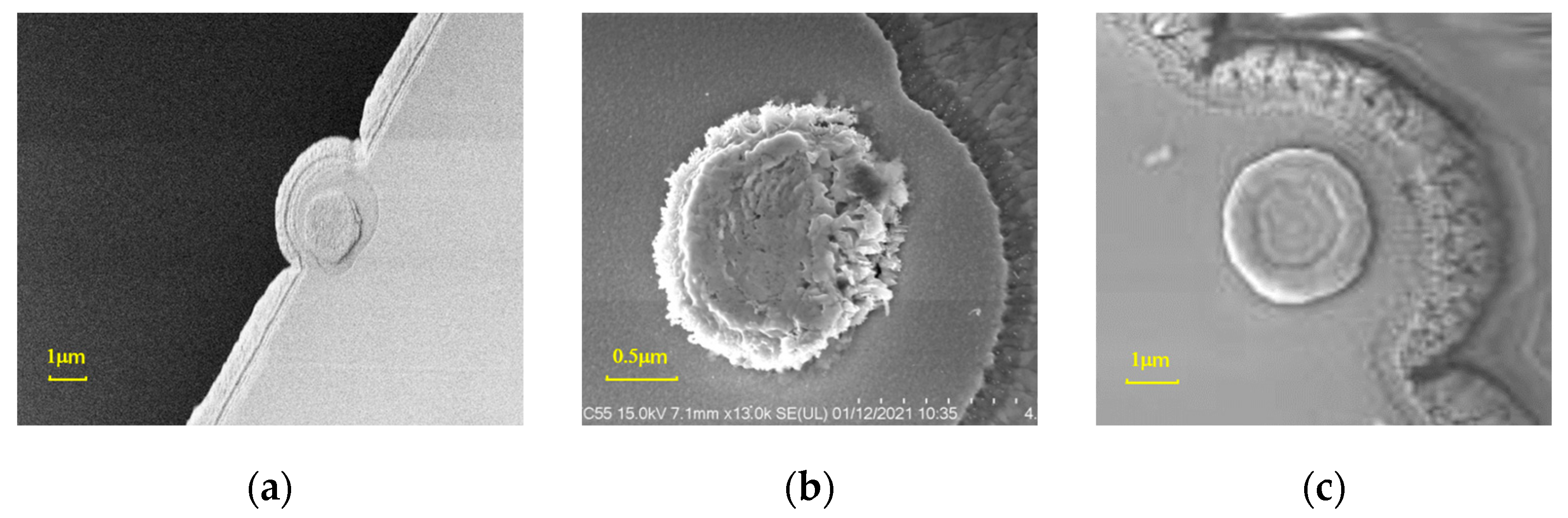 Micromachines 15 00155 g008