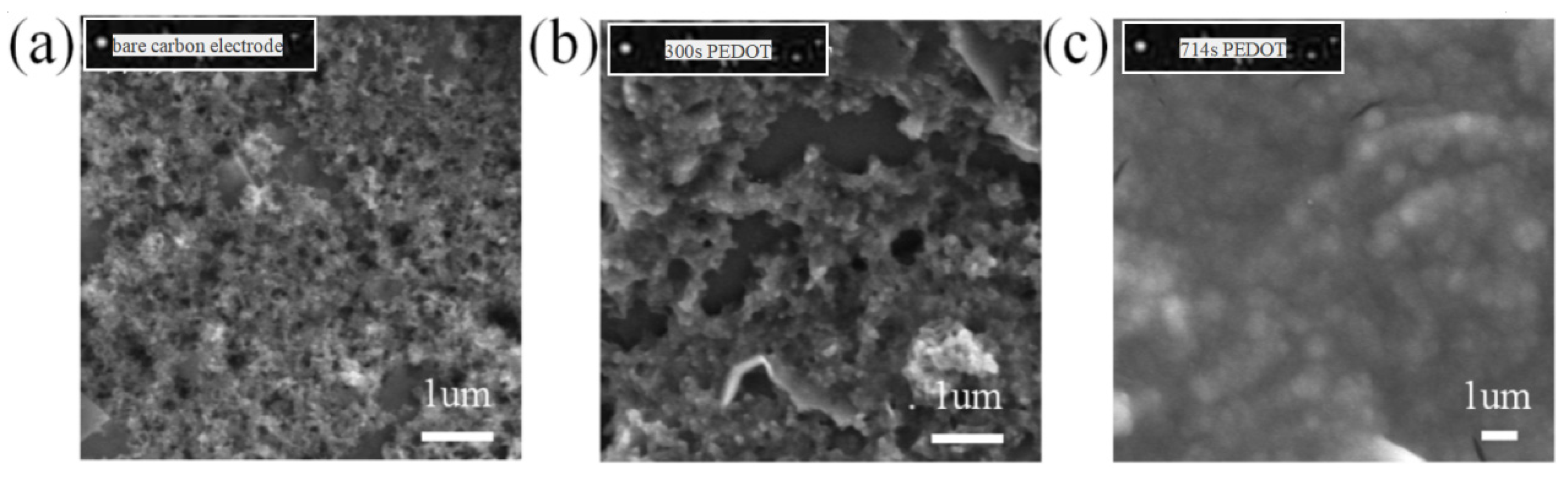 Micromachines 15 00160 g004