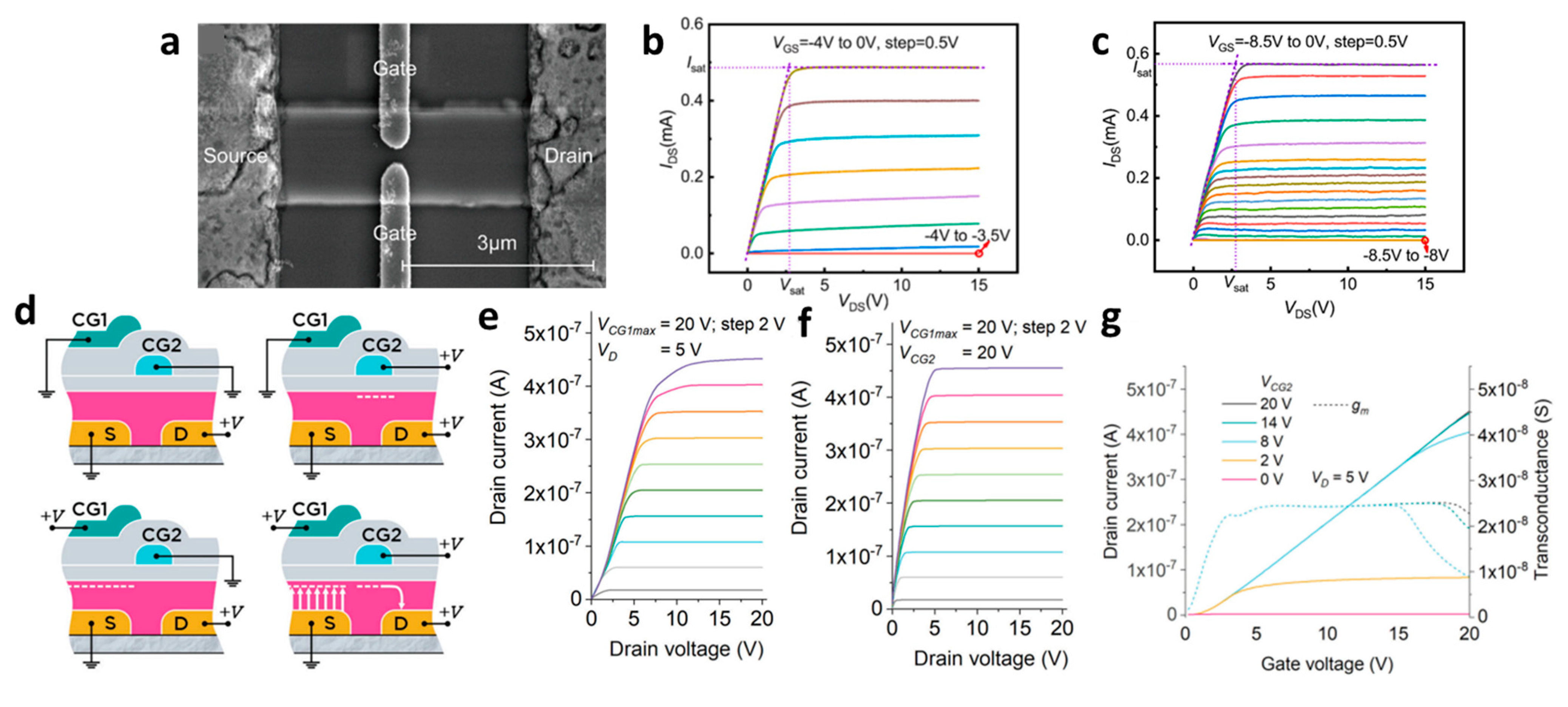 Micromachines 15 00164 g006