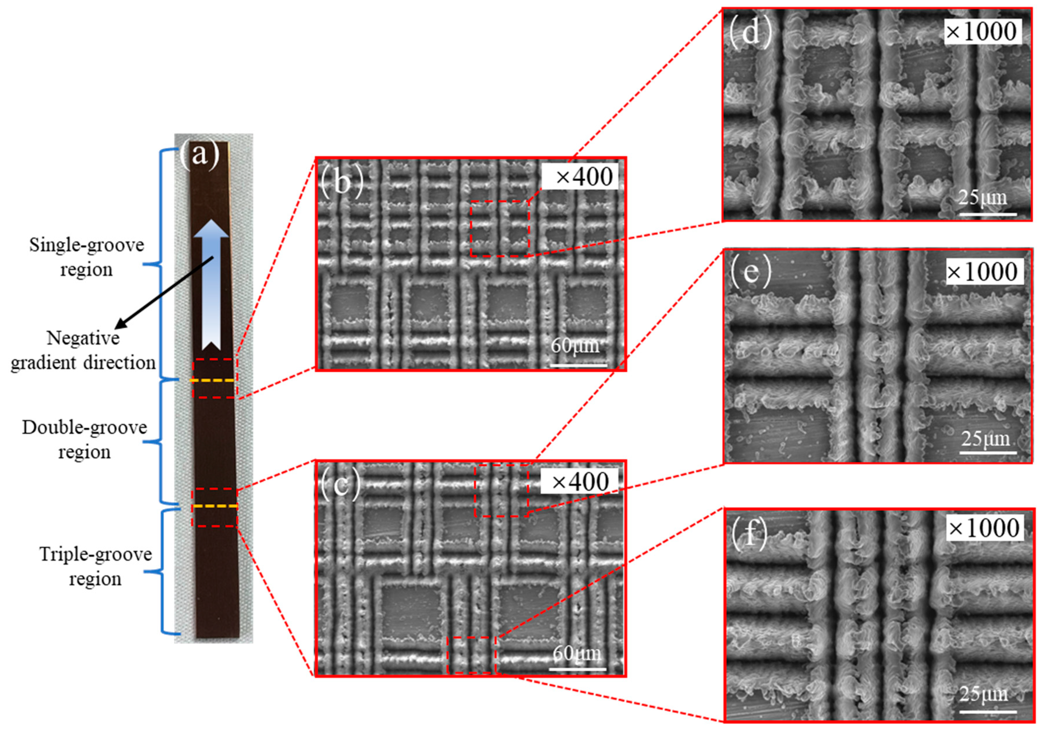 Micromachines 15 00165 g010