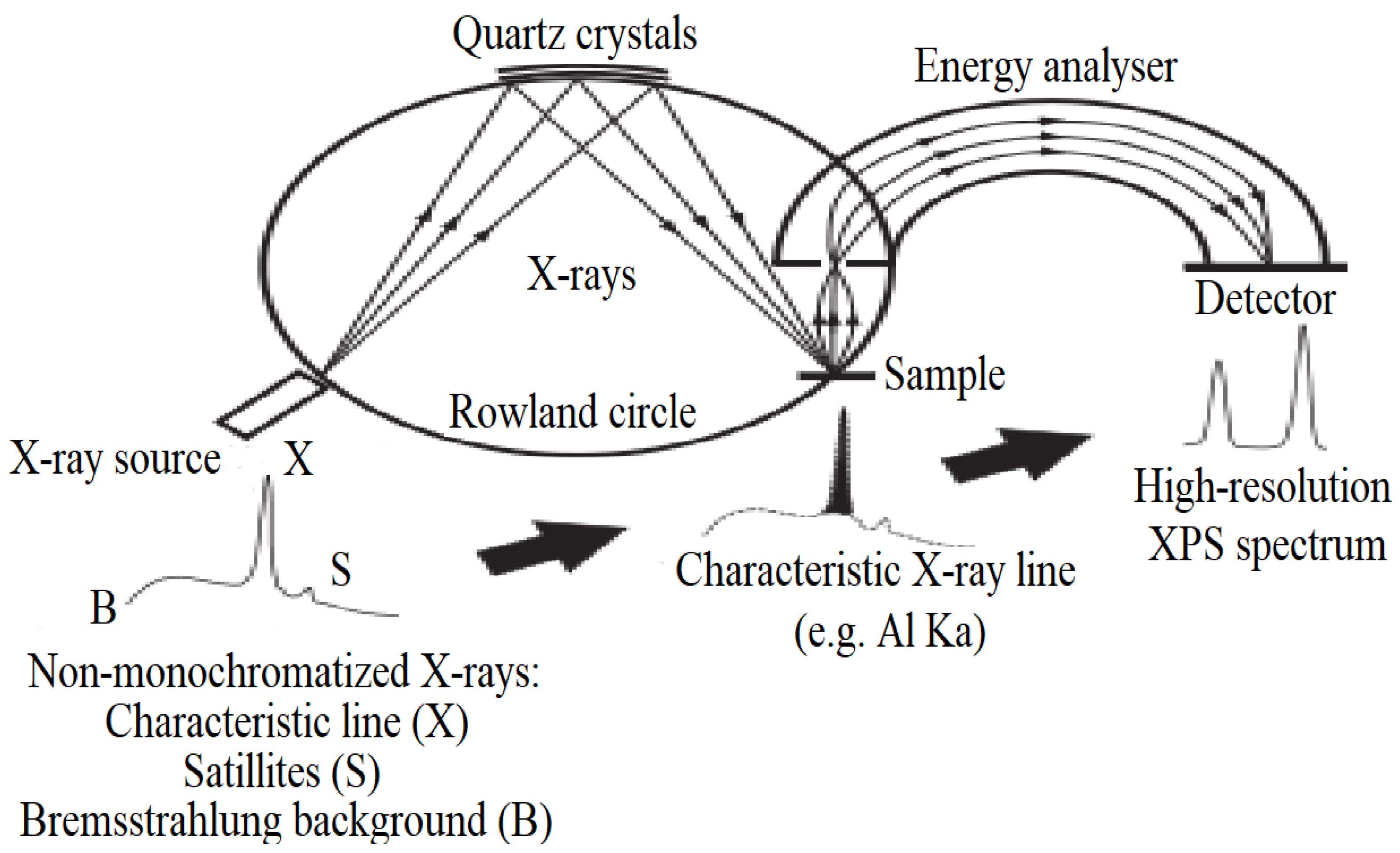Micromachines 15 00175 g003 Micromachines 15 00175 g003