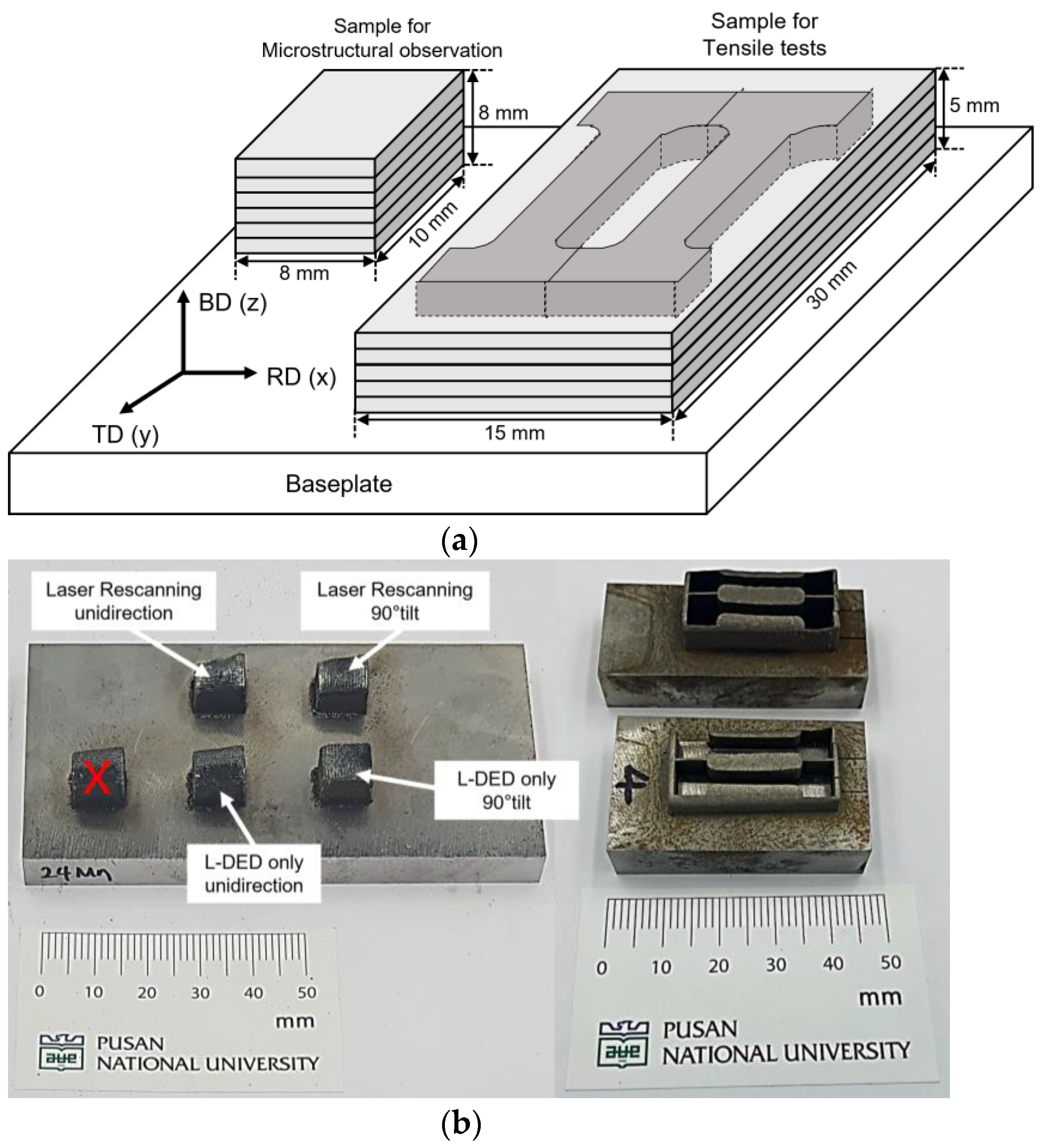 Micromachines 15 00176 g002