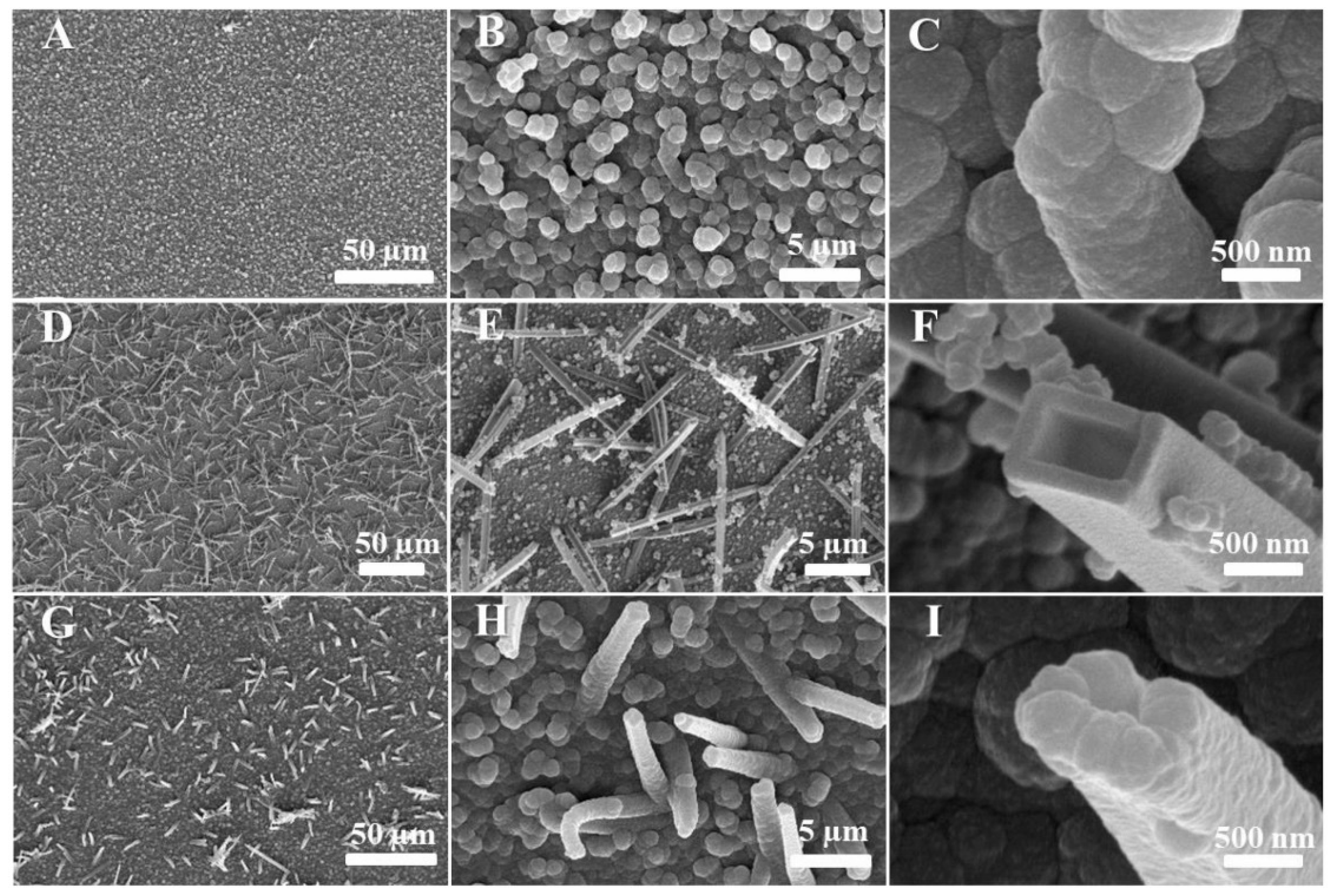 Micromachines 15 00181 g010