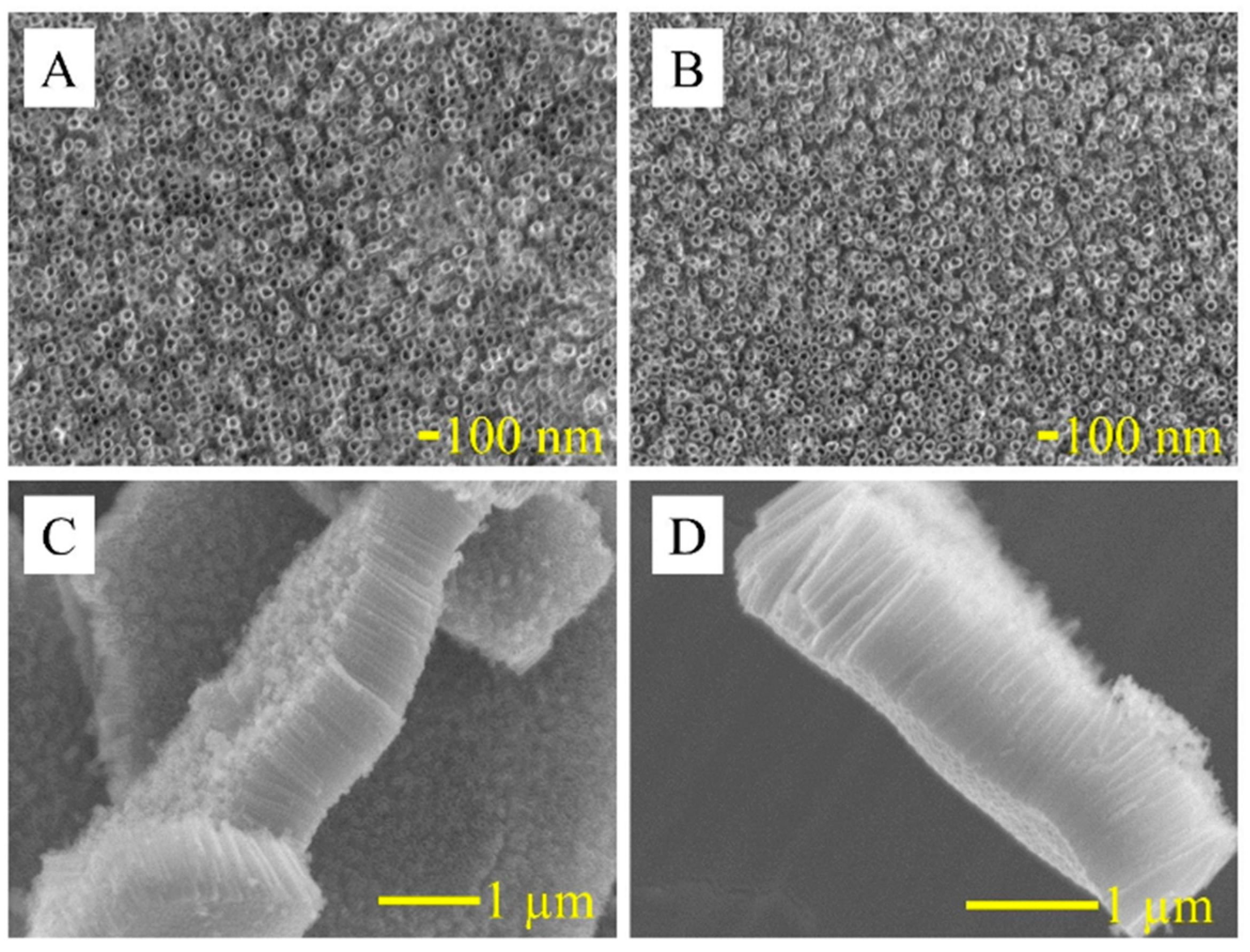 Micromachines 15 00181 g013