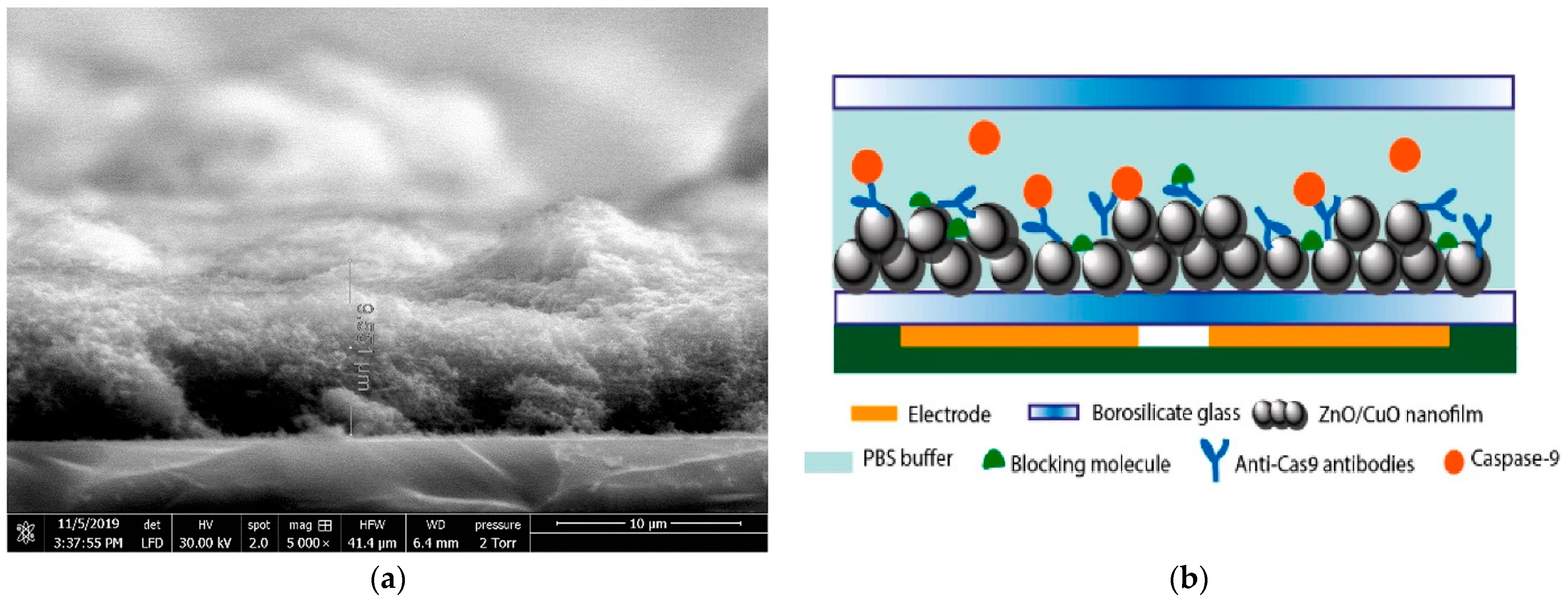 Micromachines 15 00181 g014