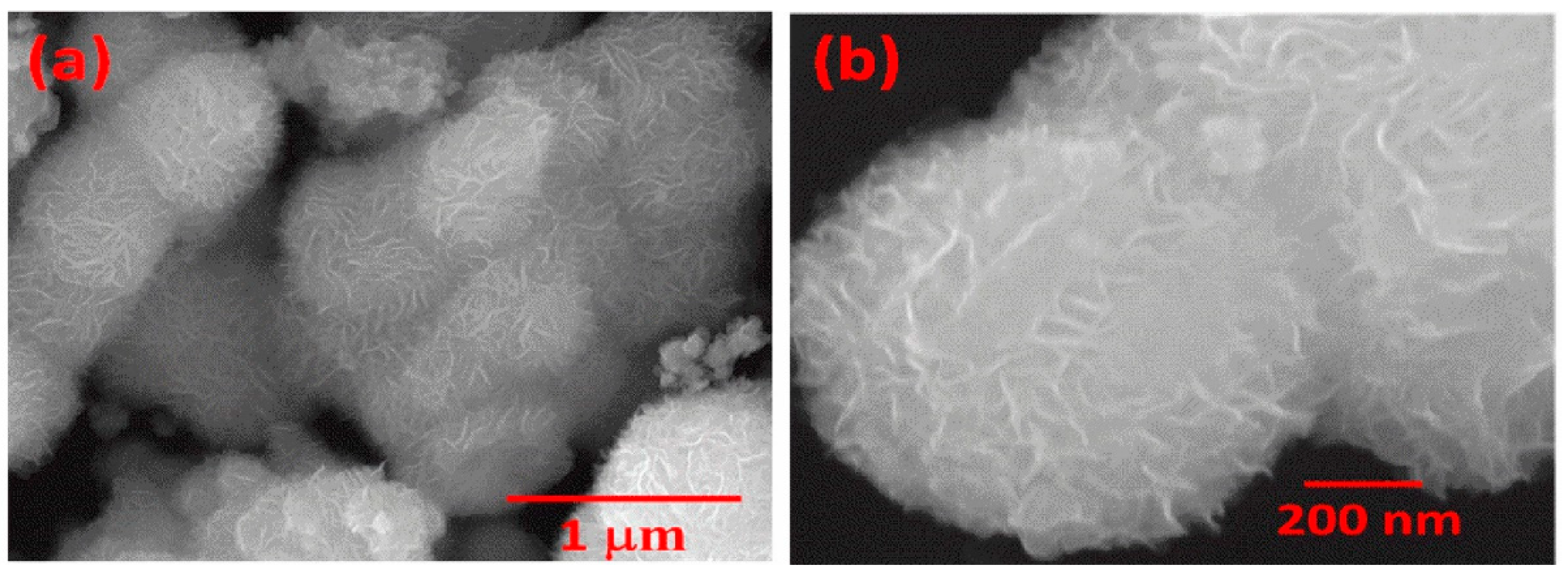 Micromachines 15 00181 g016