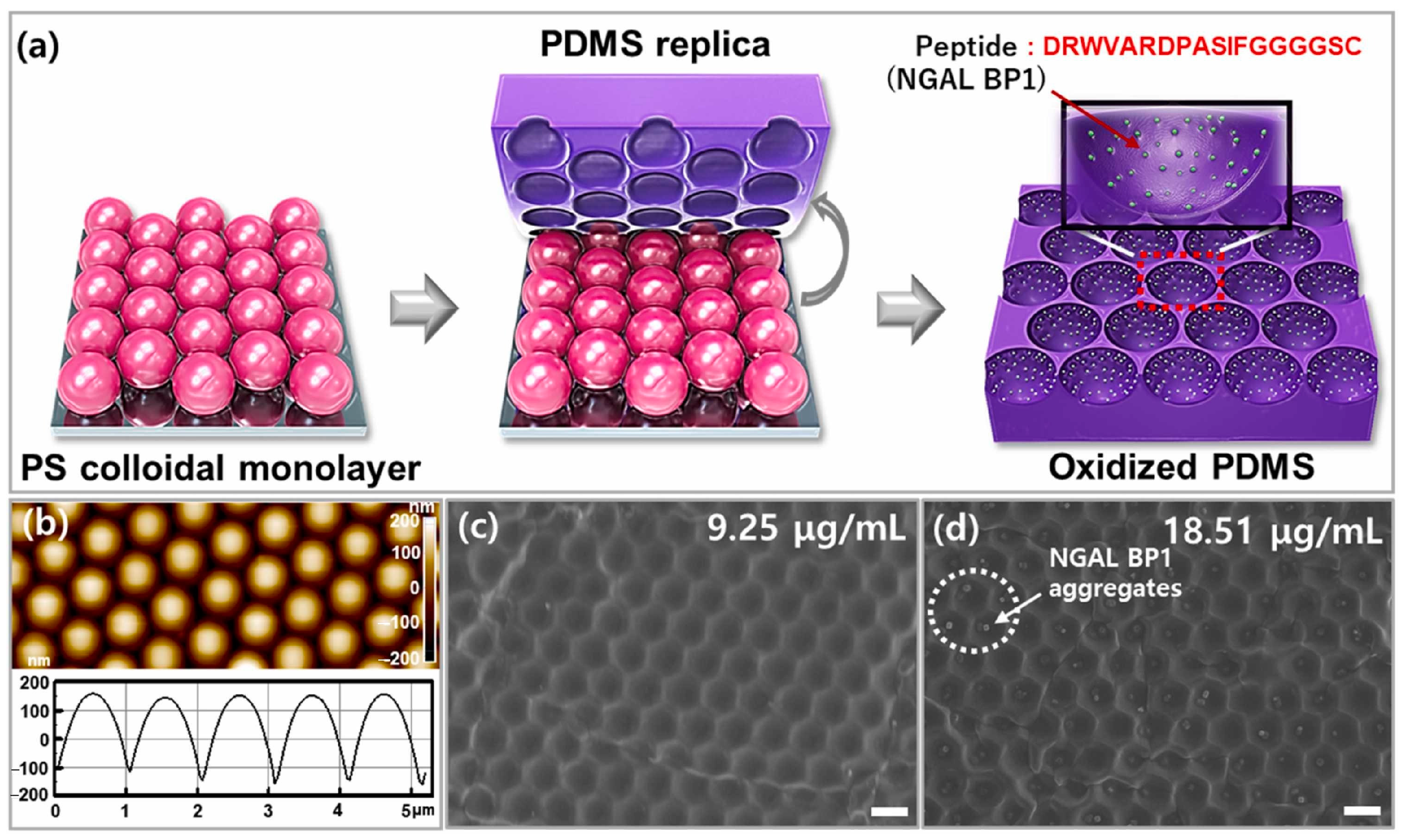Micromachines 15 00181 g021
