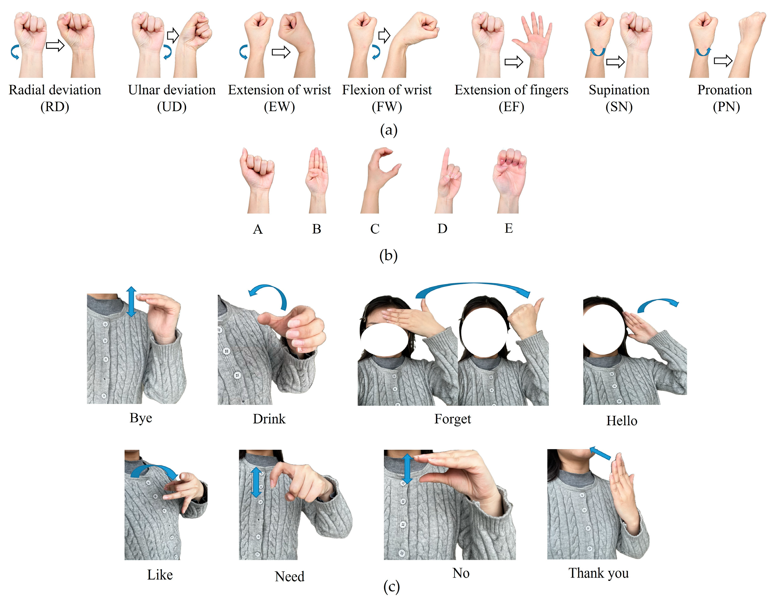 Micromachines 15 00185 g009