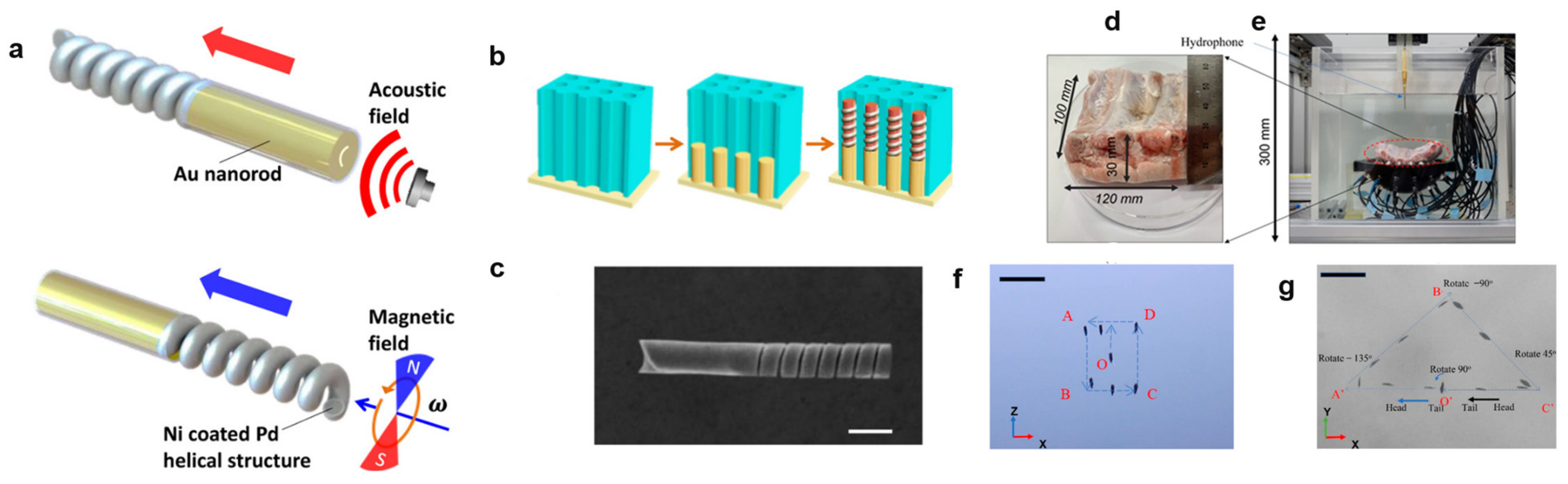 Micromachines 15 00186 g007