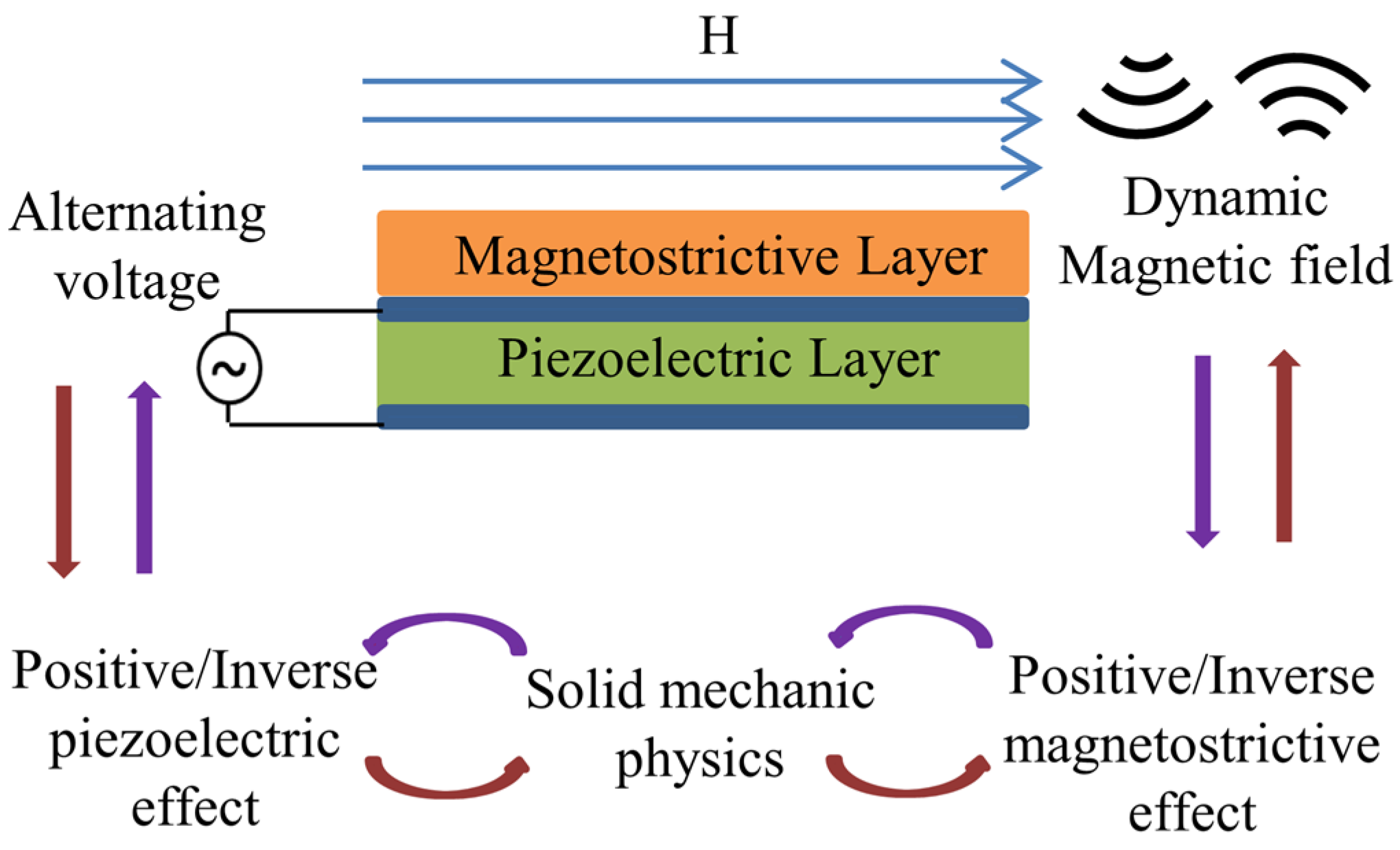 Micromachines 15 00190 g001