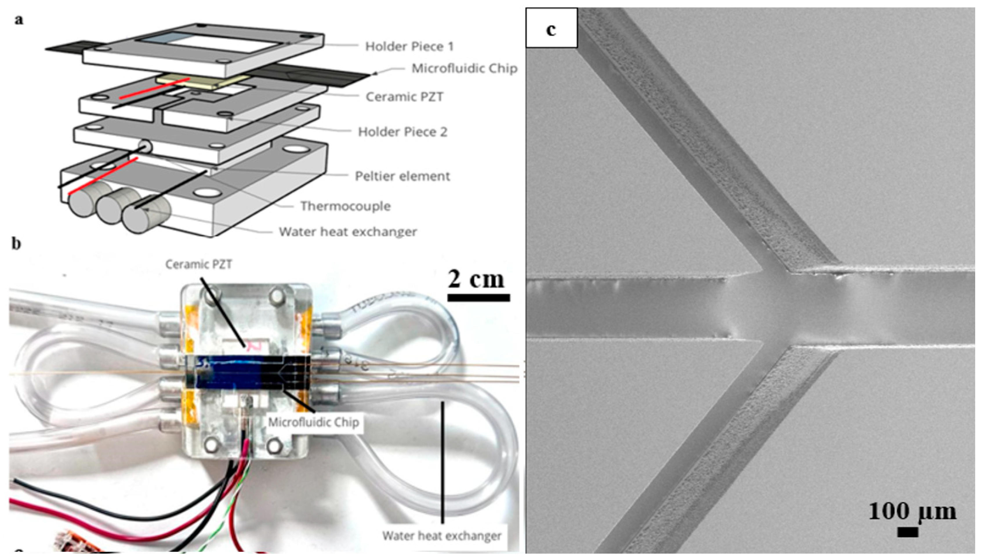 Micromachines 15 00191 g002
