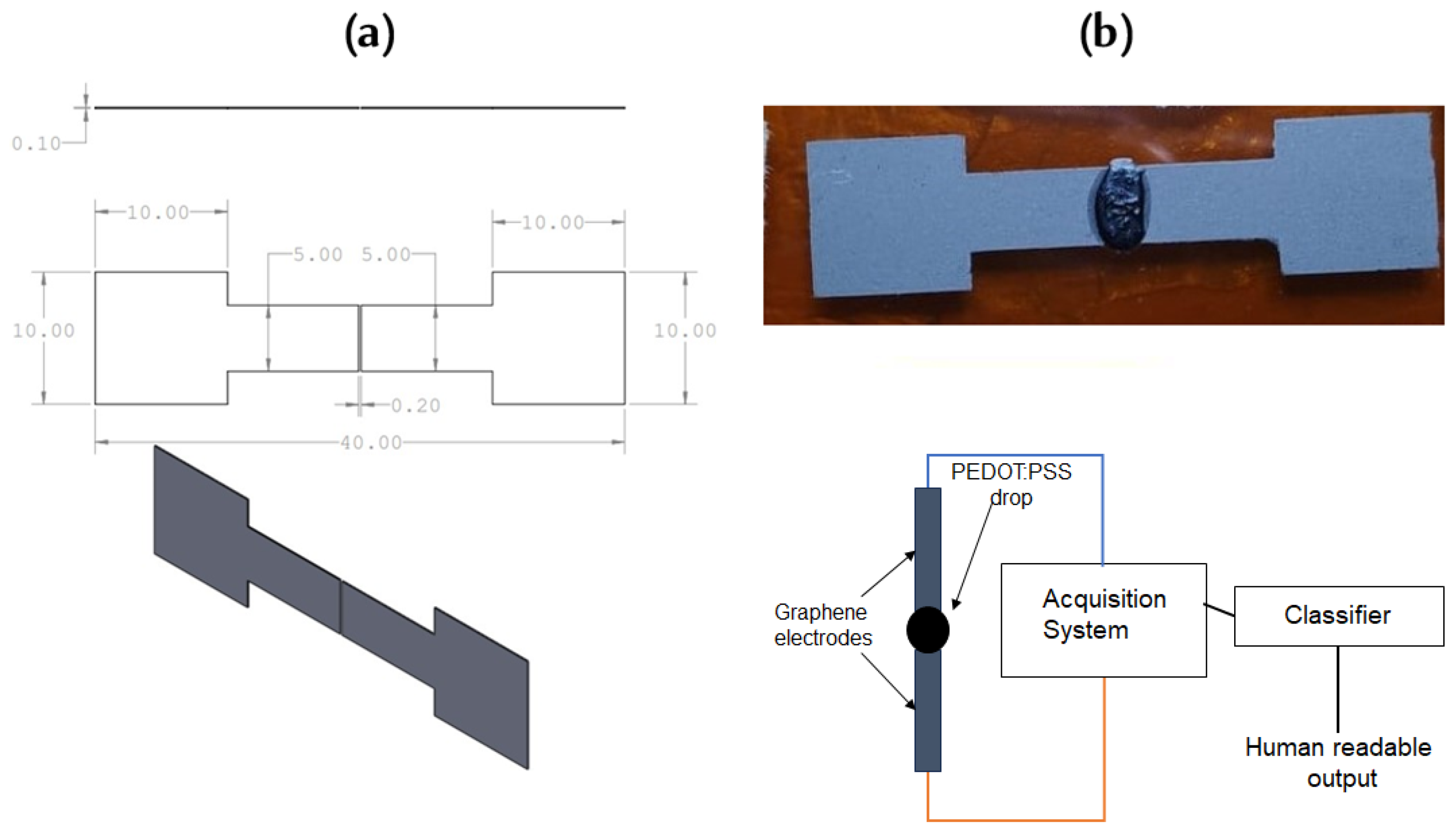 Micromachines 15 00198 g001
