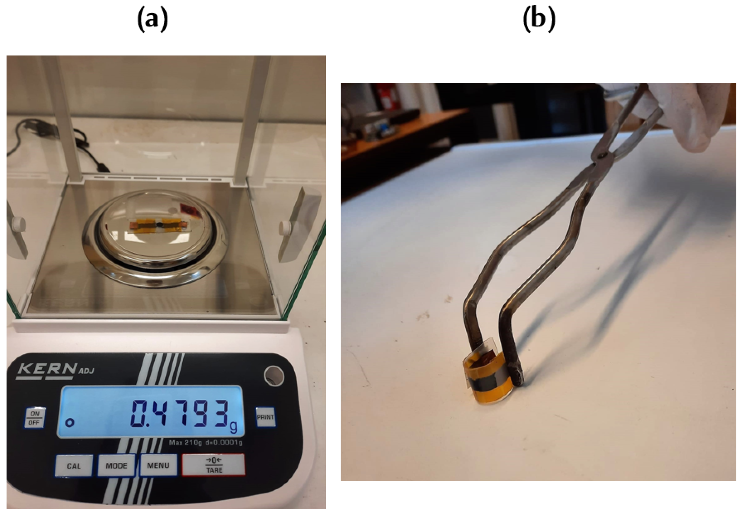 Micromachines 15 00198 g002