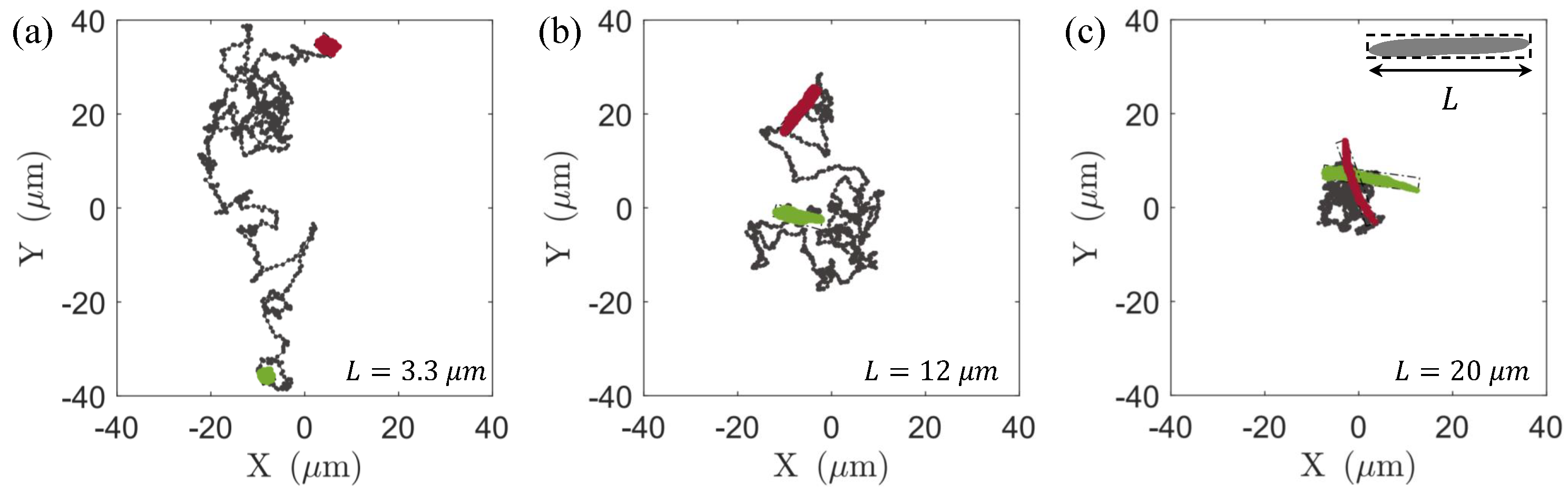 Micromachines 15 00199 g002 Micromachines 15 00199 g002