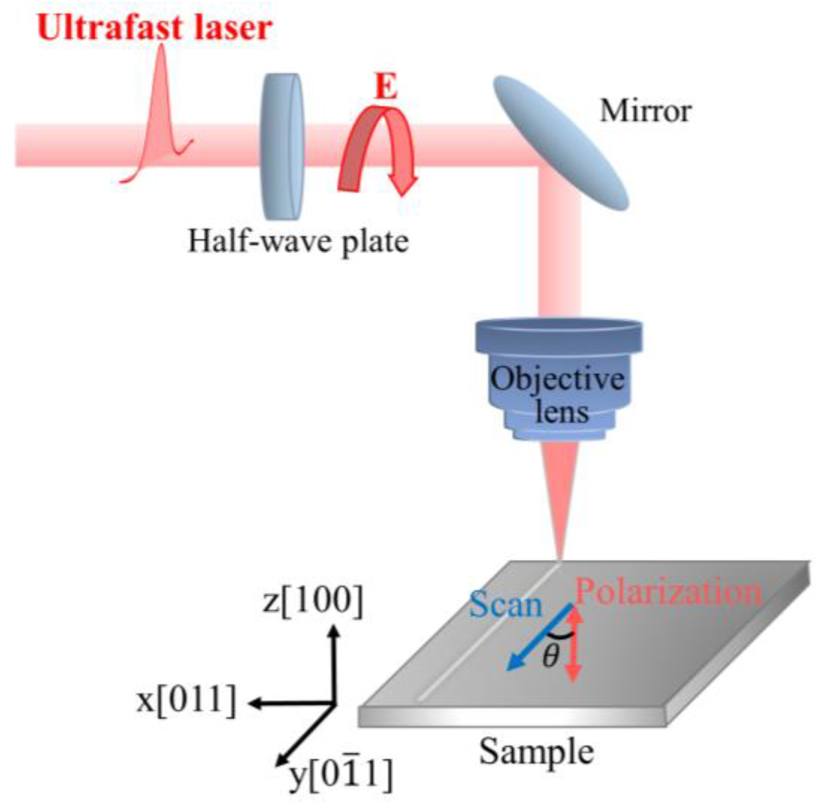Micromachines 15 00200 g001