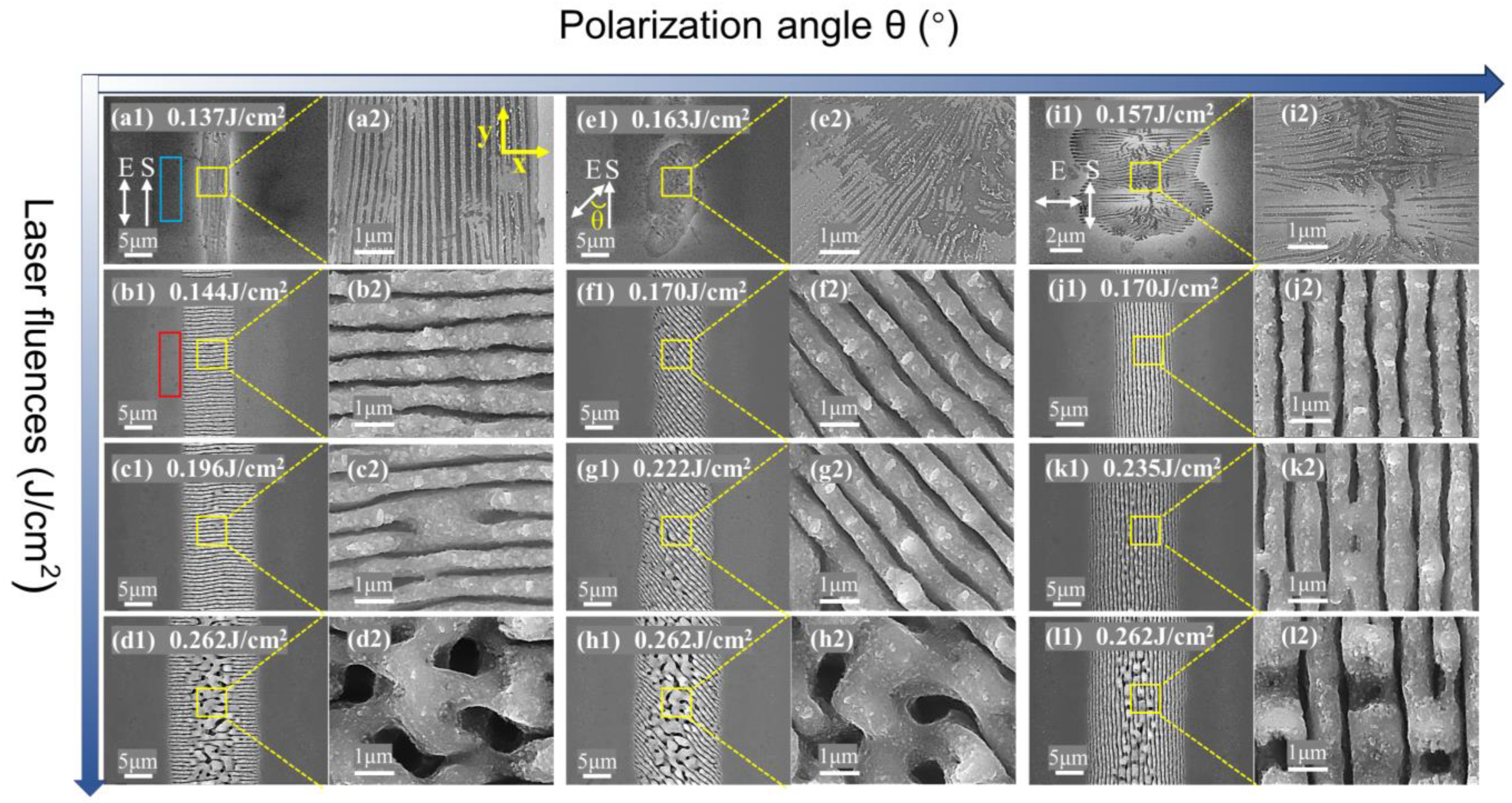Micromachines 15 00200 g002