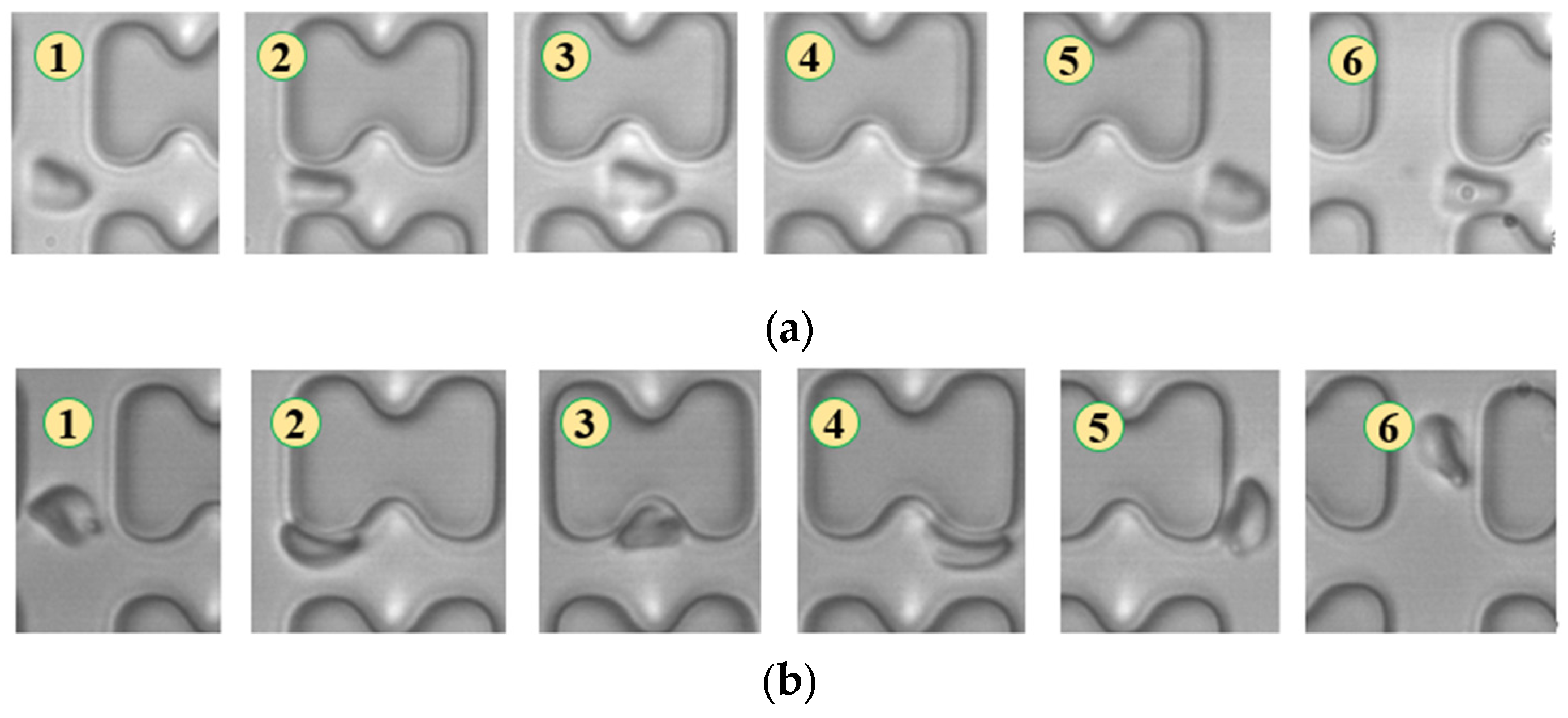 Micromachines 15 00214 g004